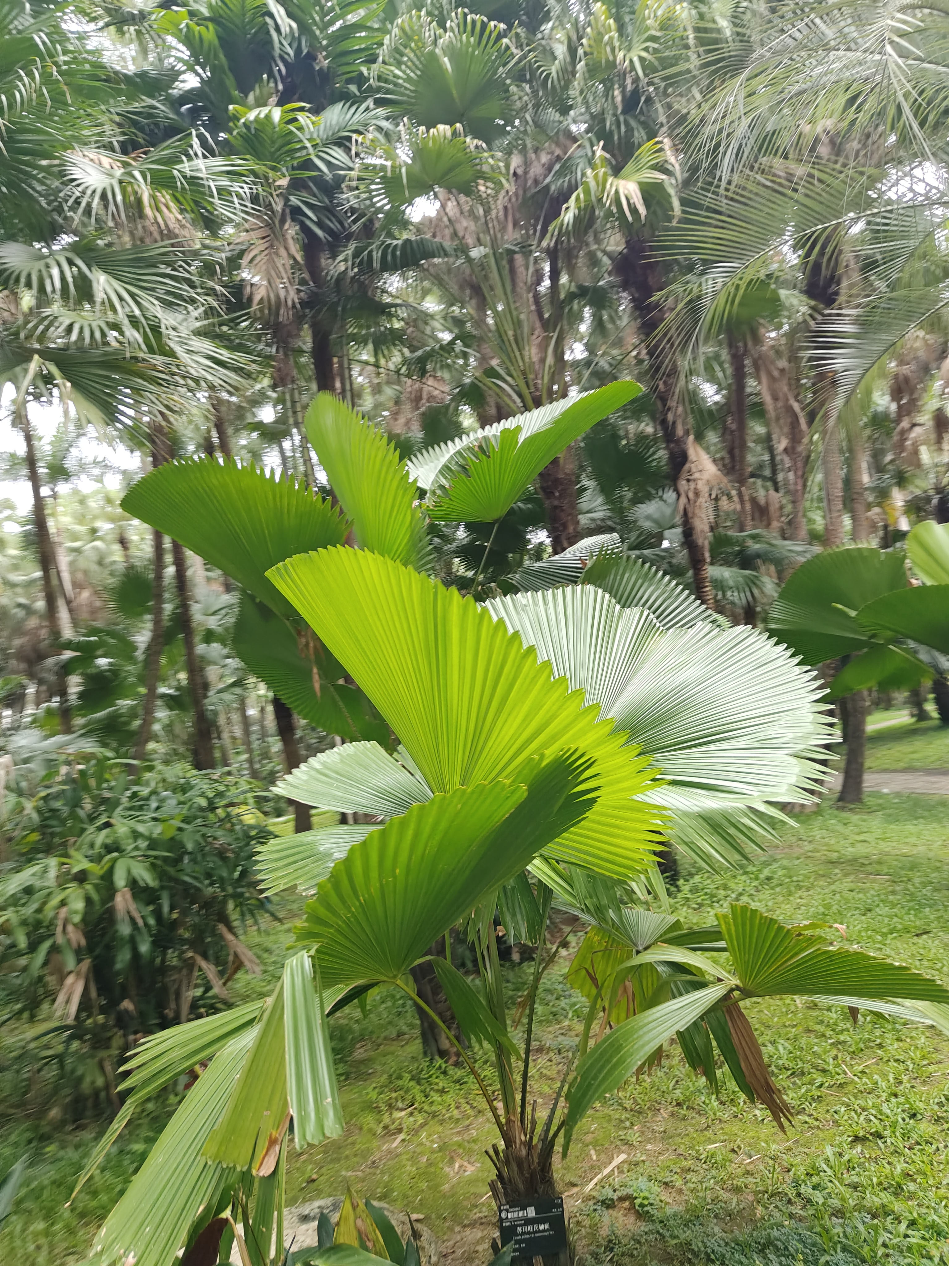 相册照片