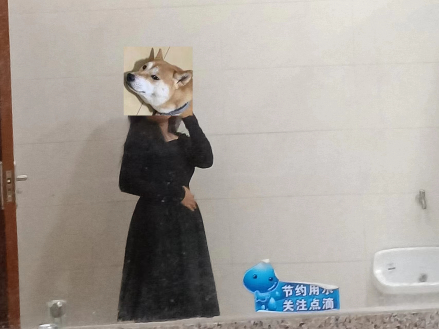 相册照片