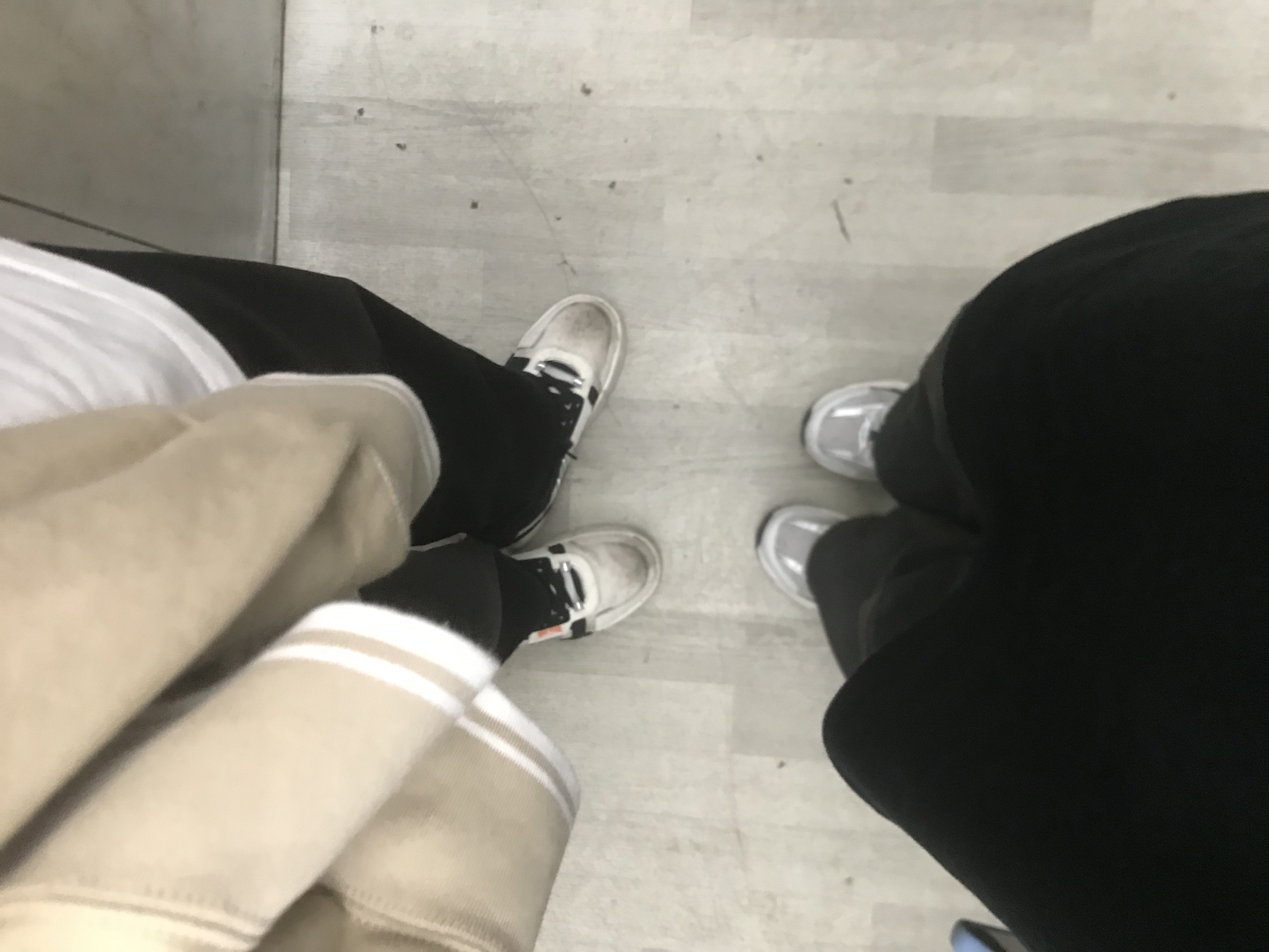 相册照片