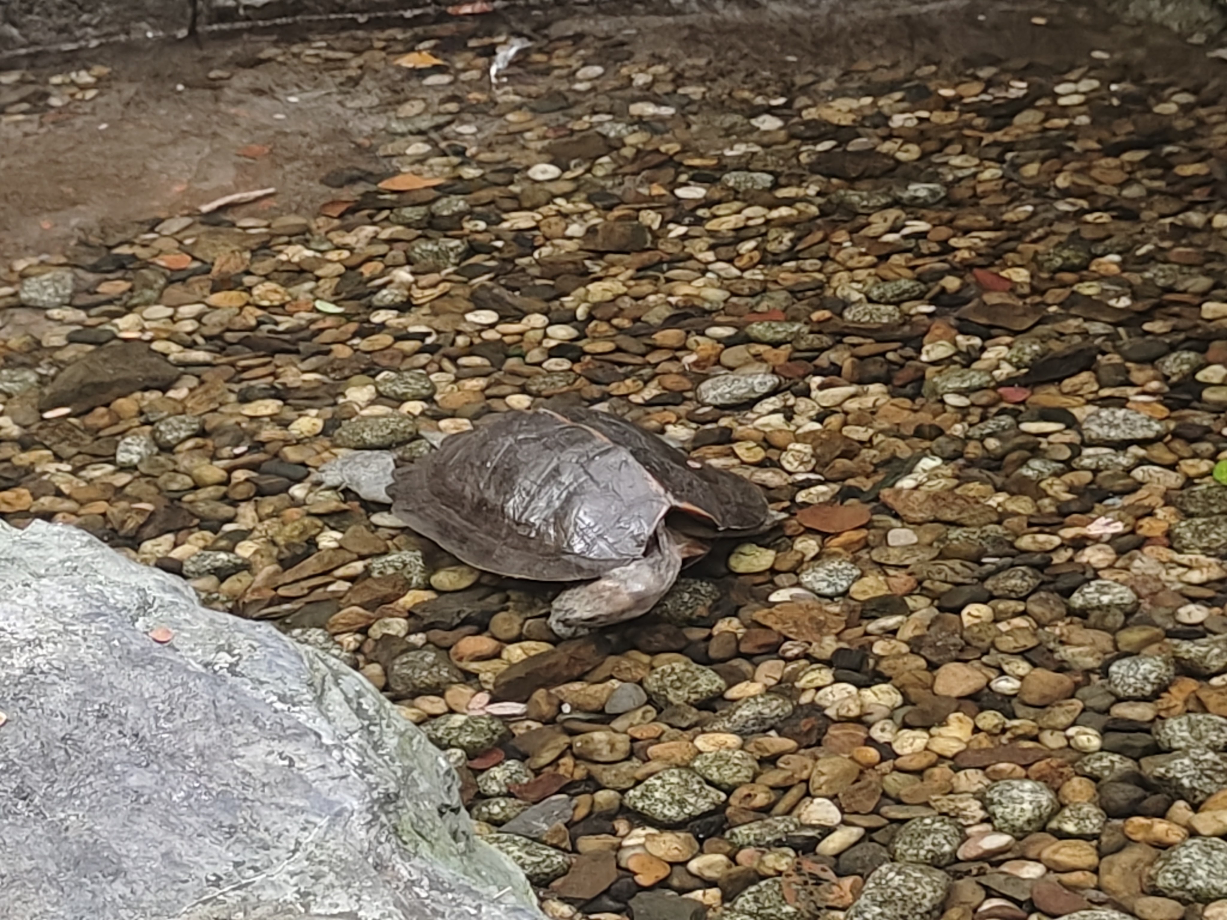 相册照片