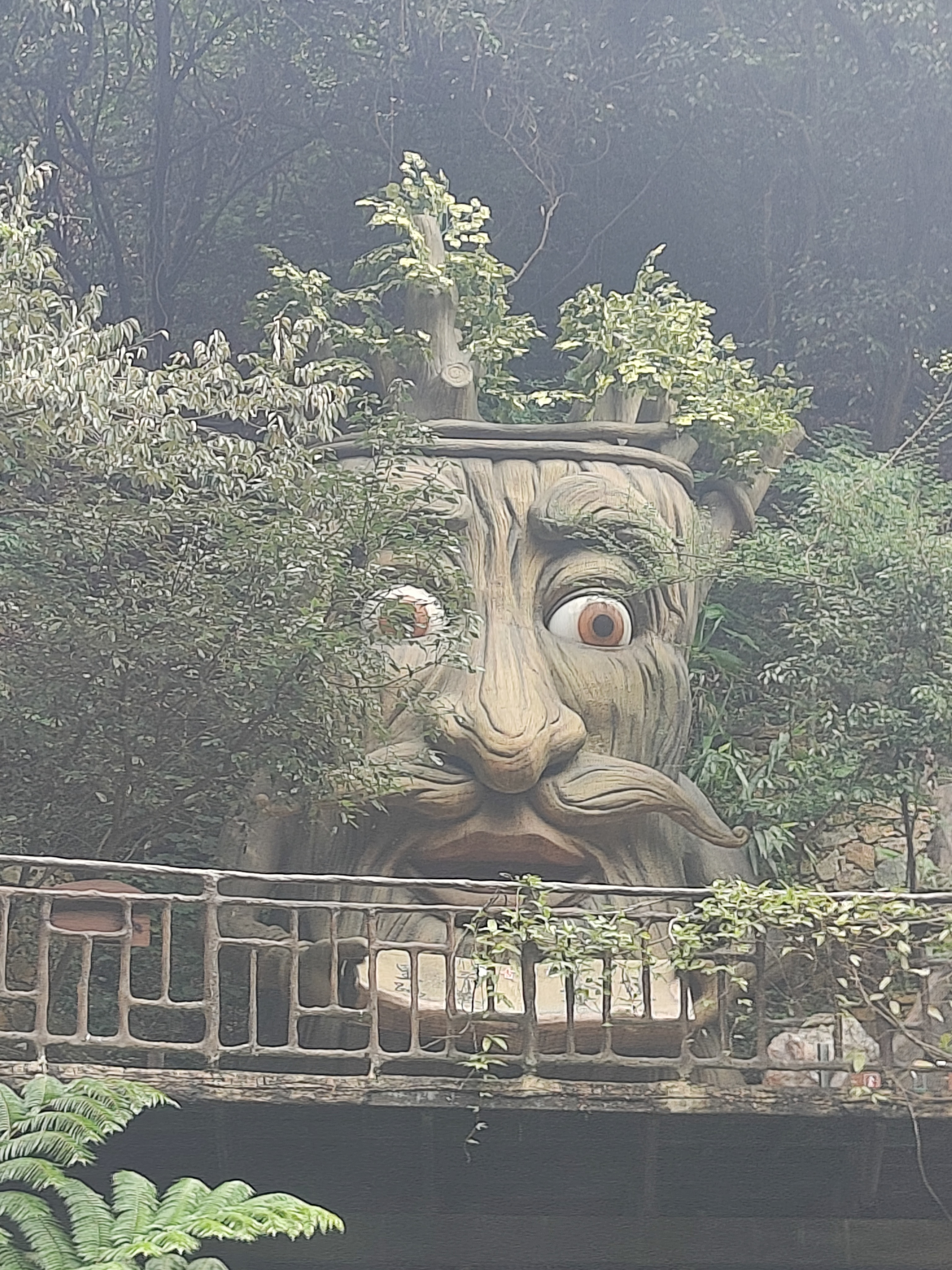 相册照片