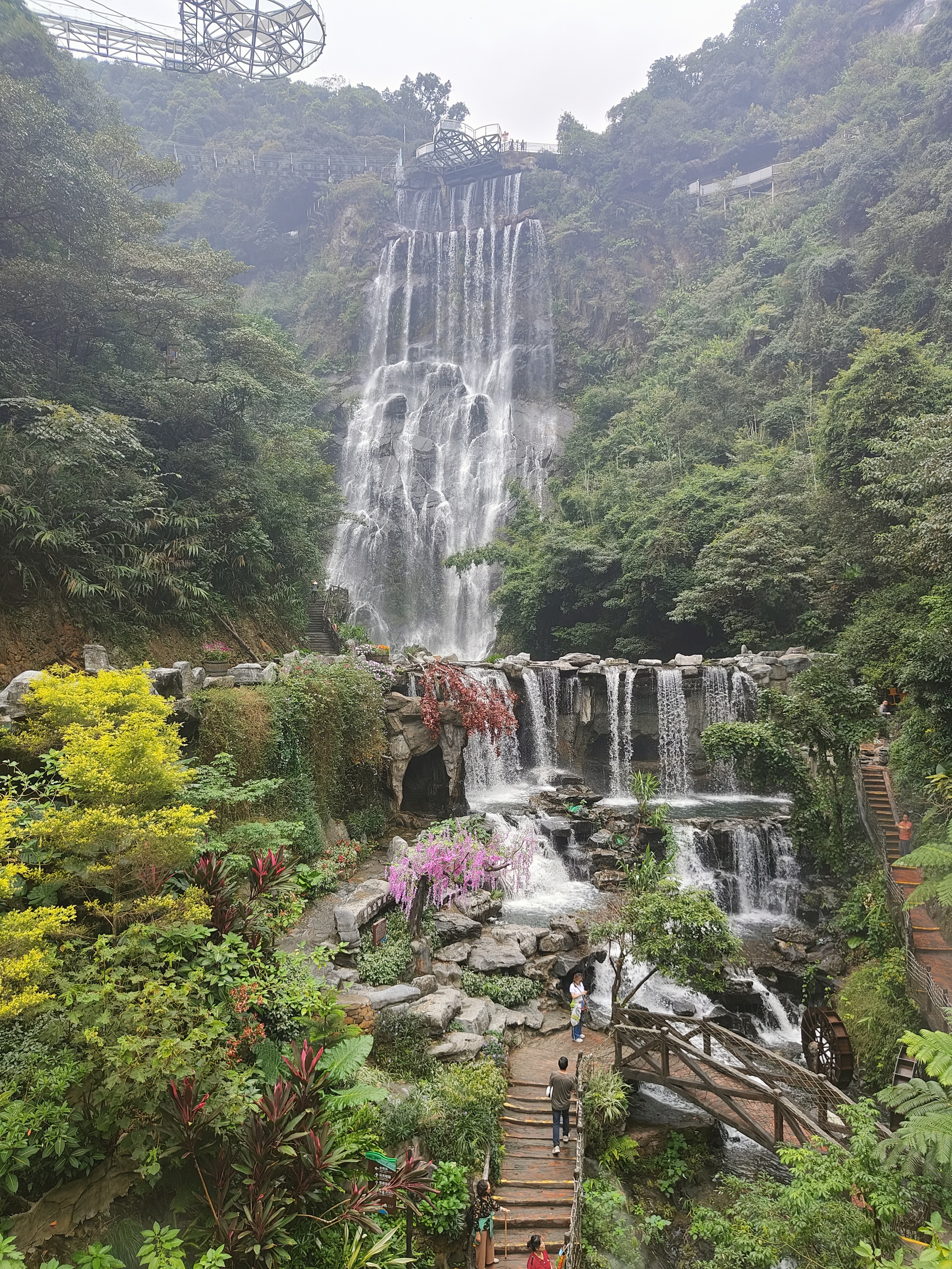 相册照片
