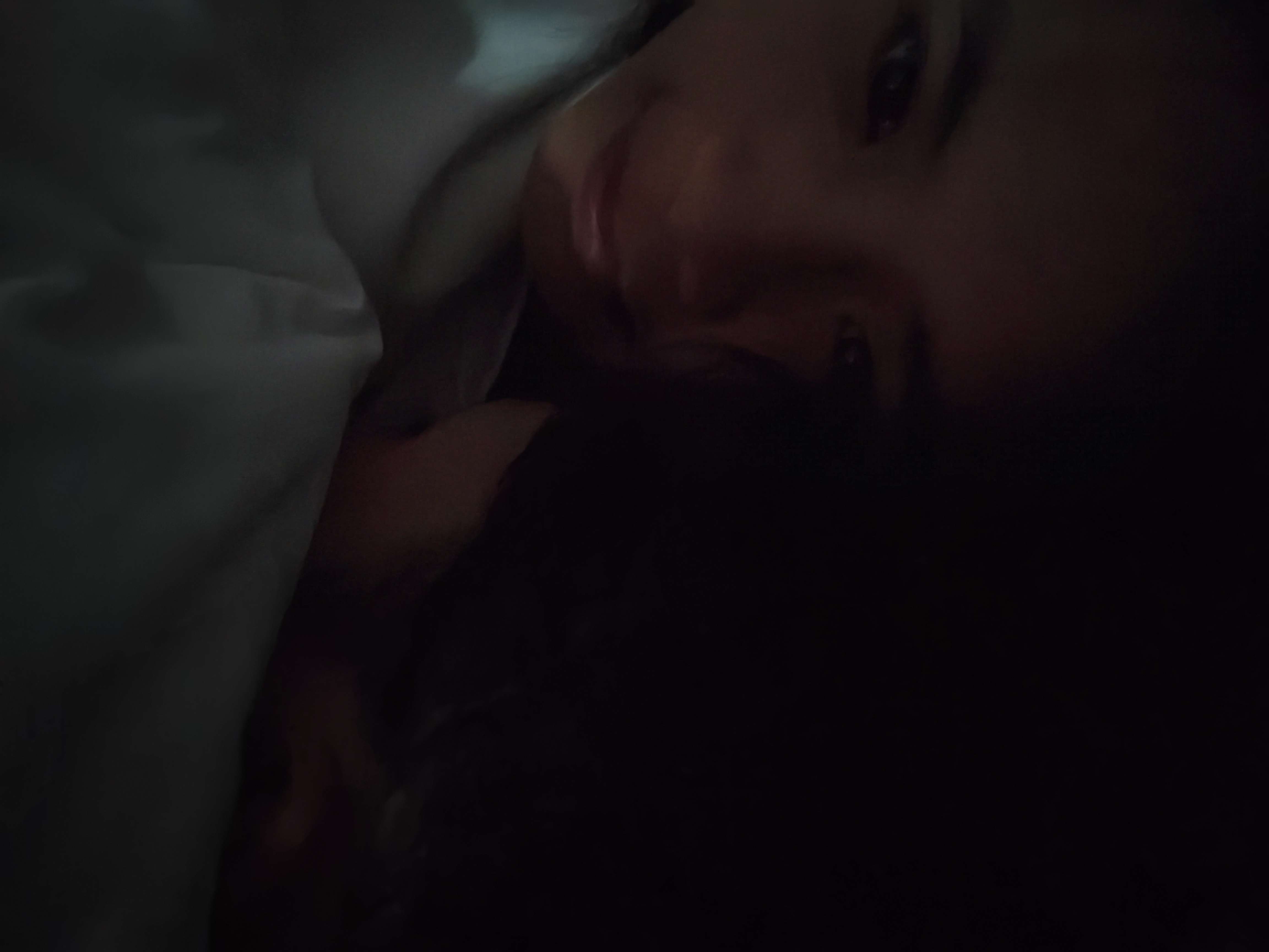 相册照片