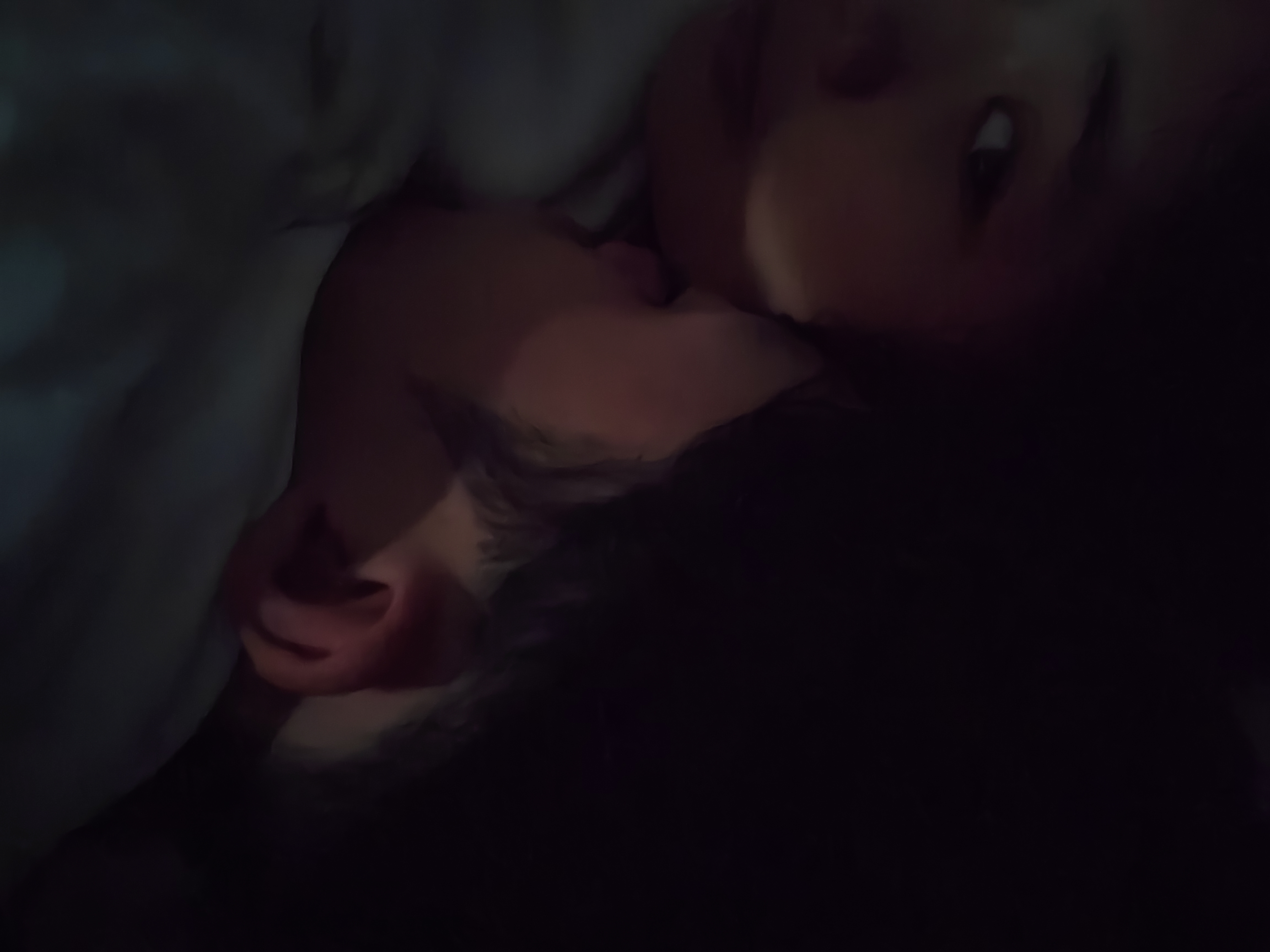 相册照片