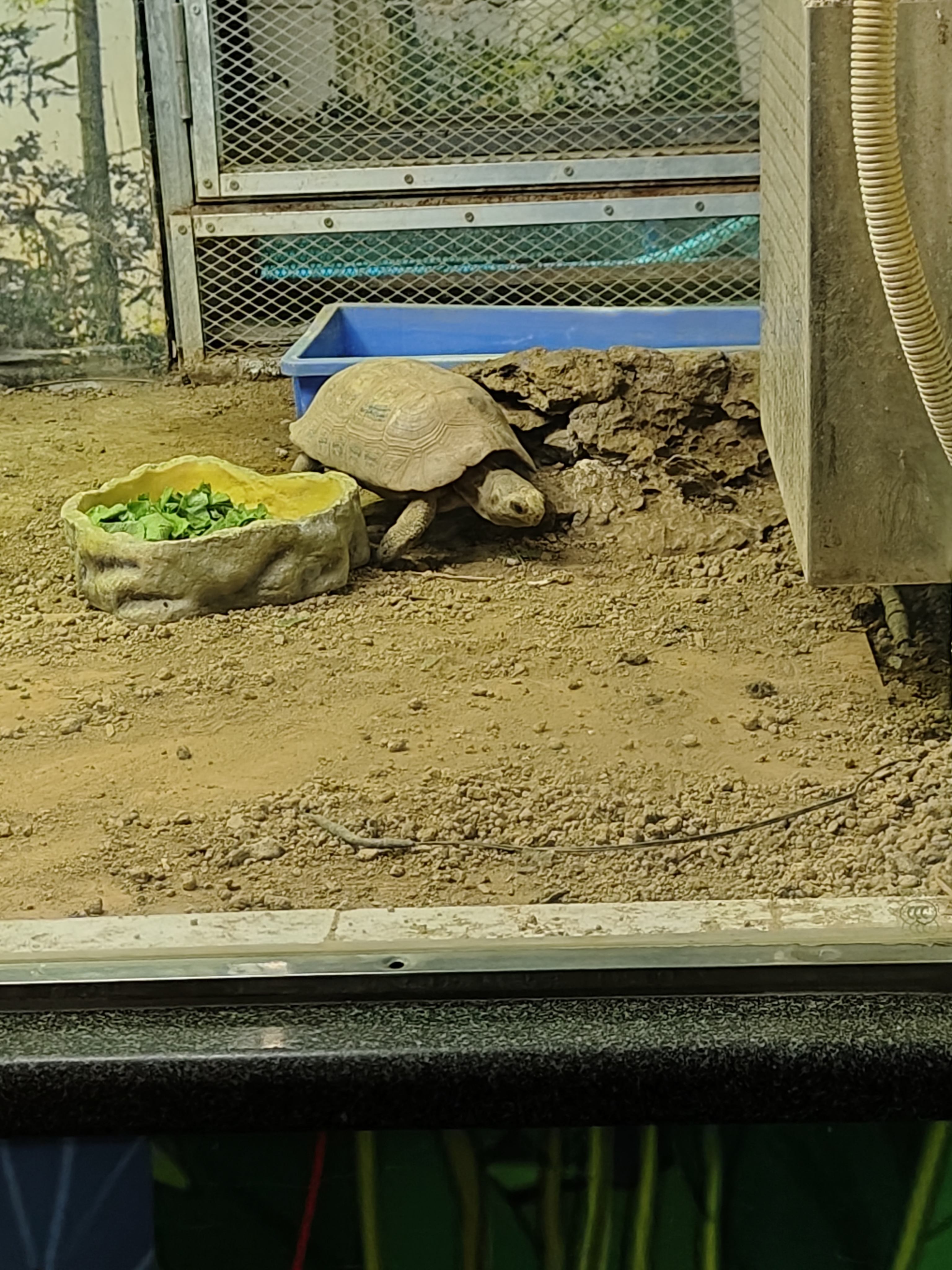 相册照片