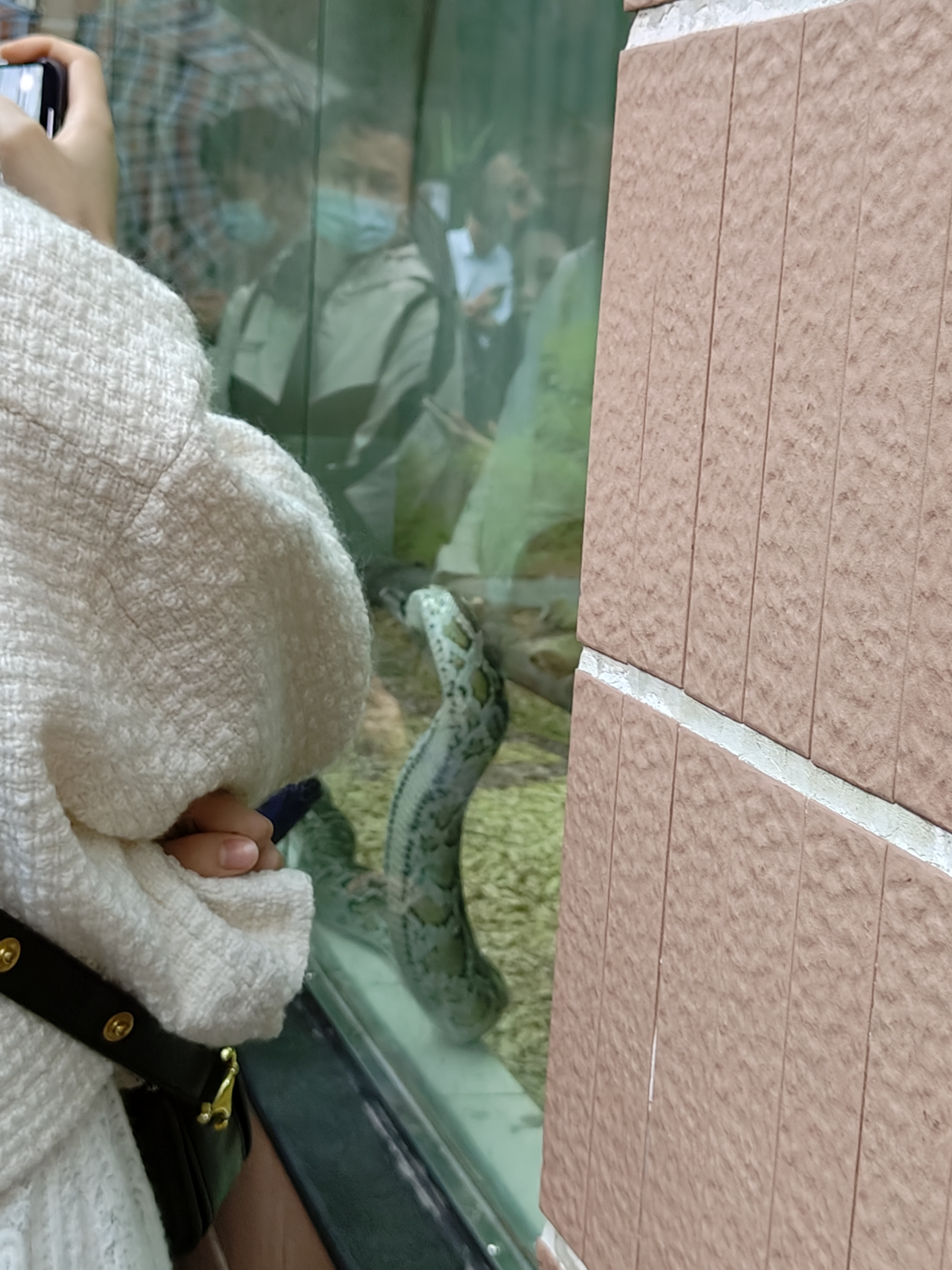 相册照片