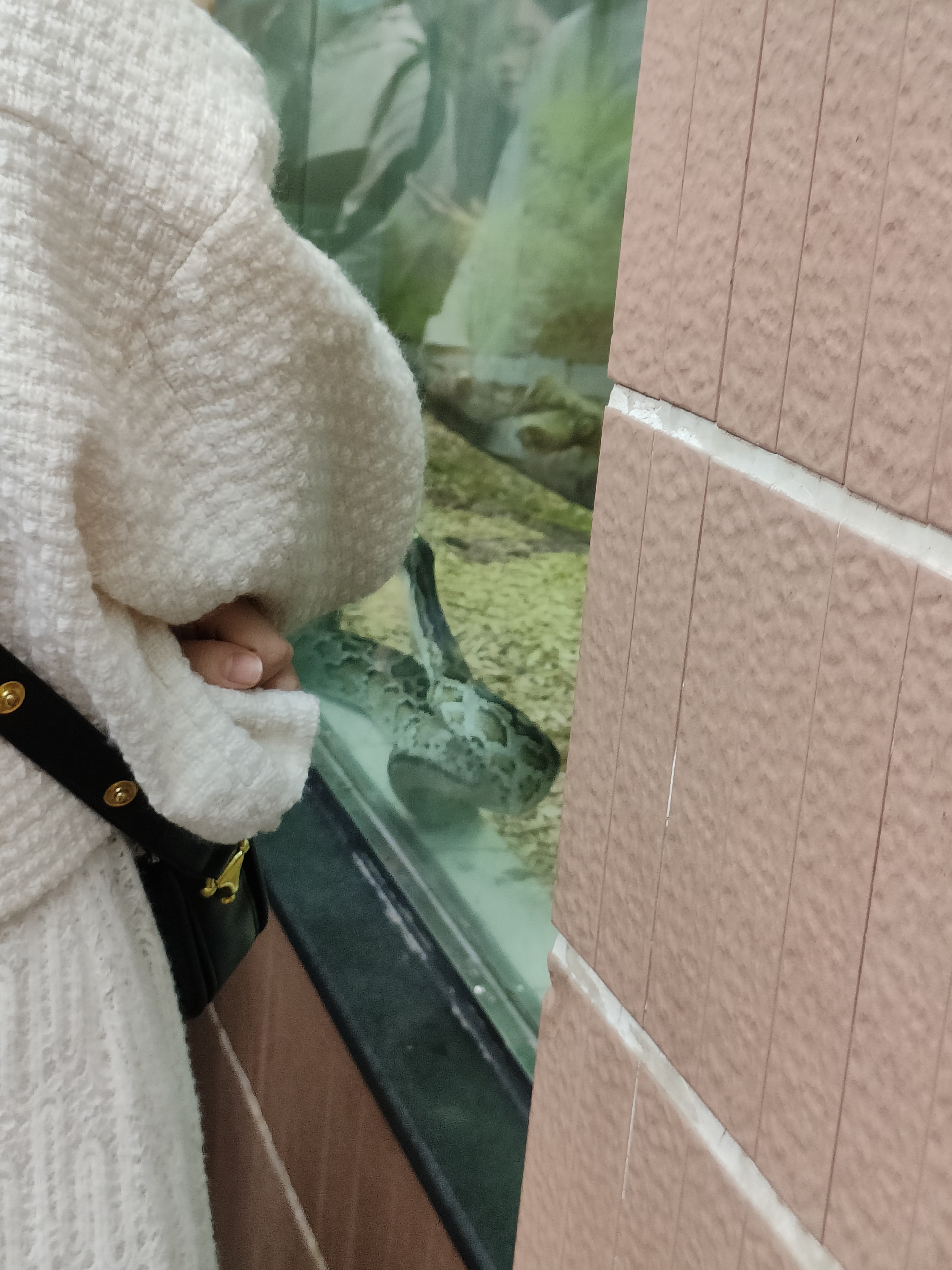 相册照片