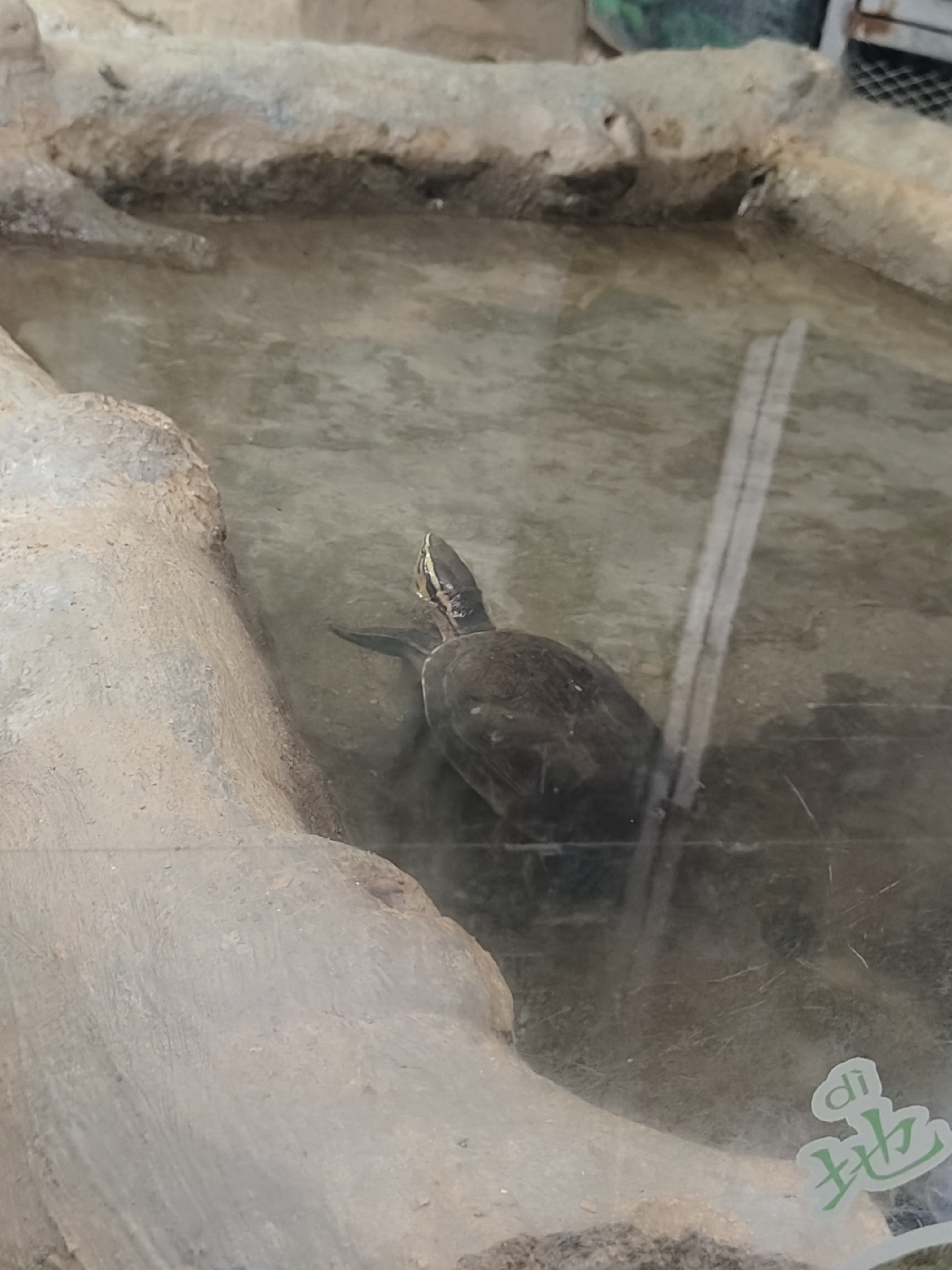 相册照片