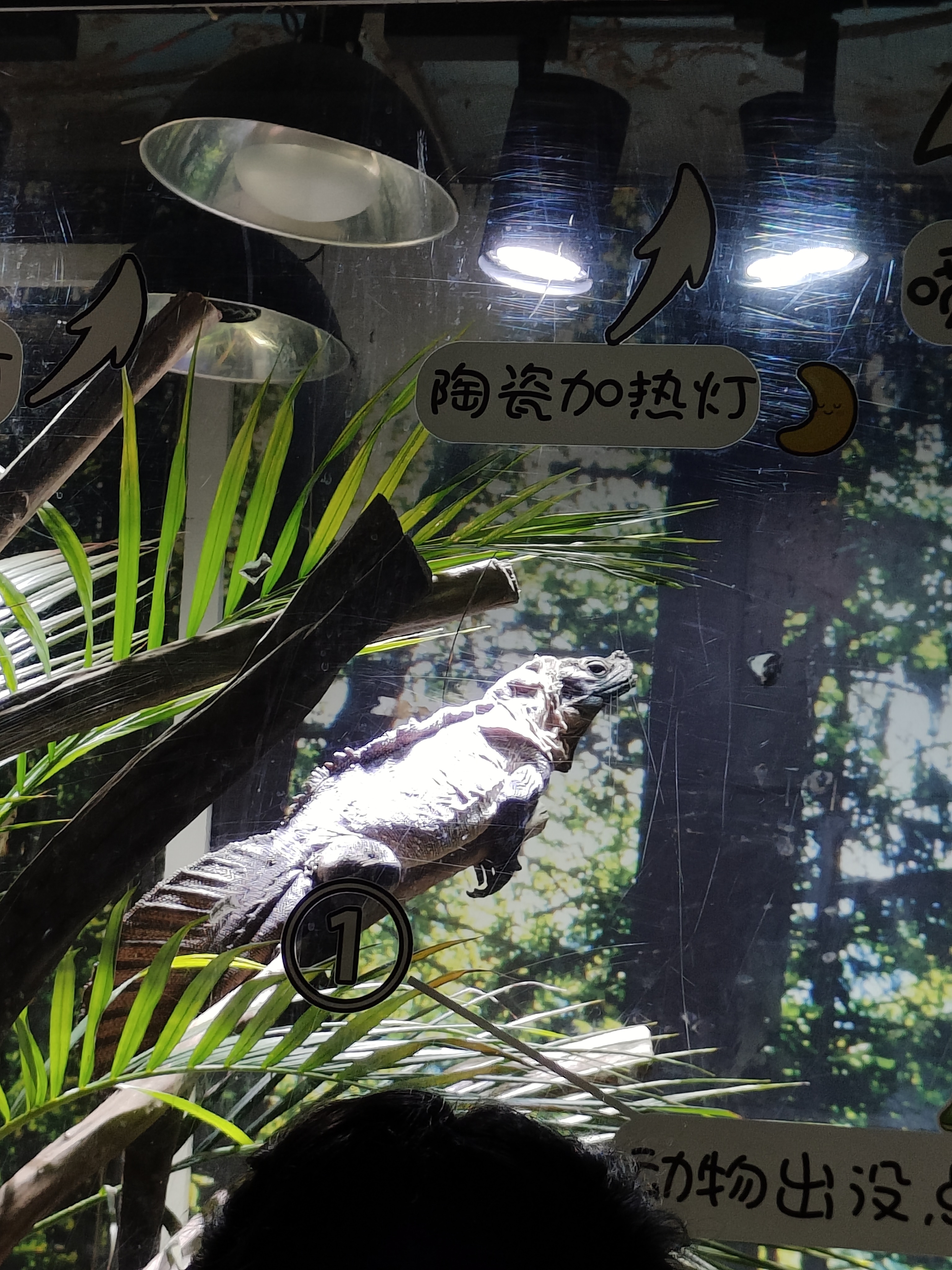 相册照片