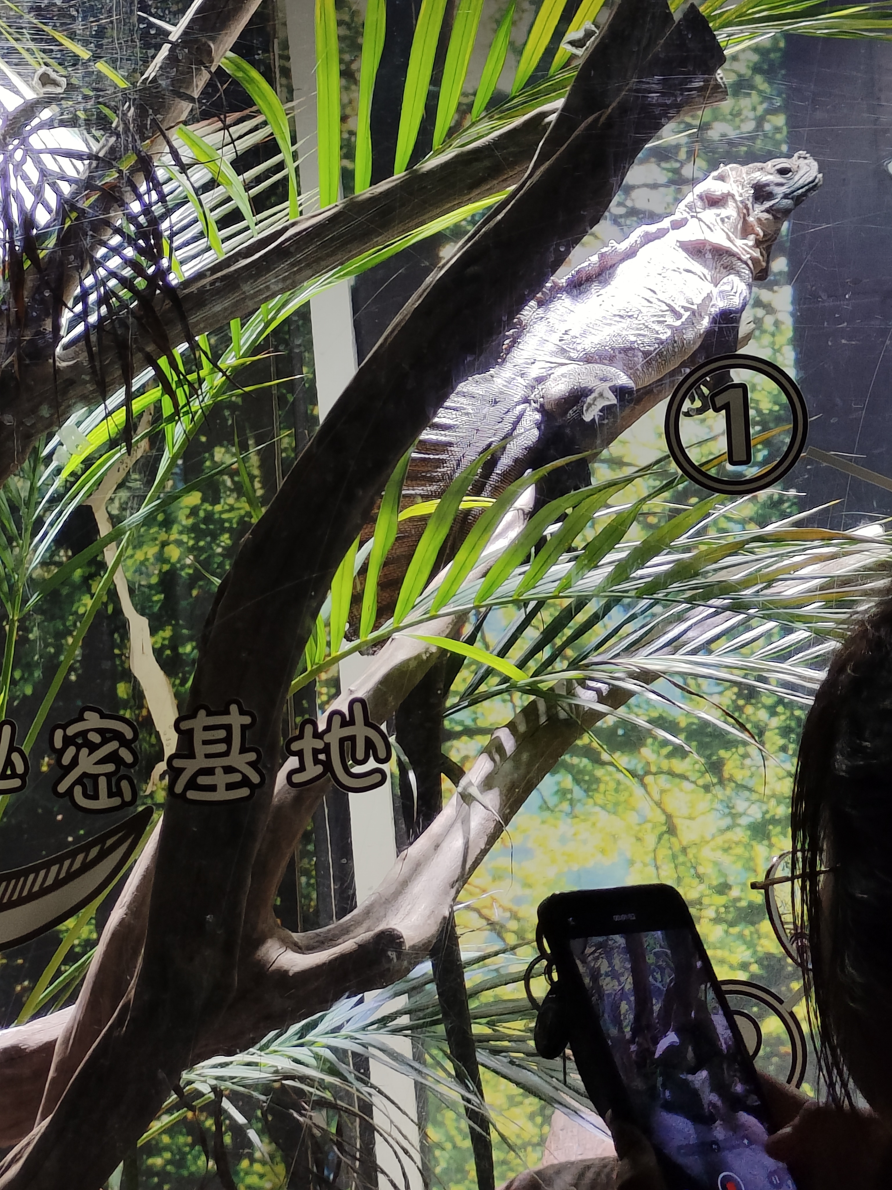 相册照片