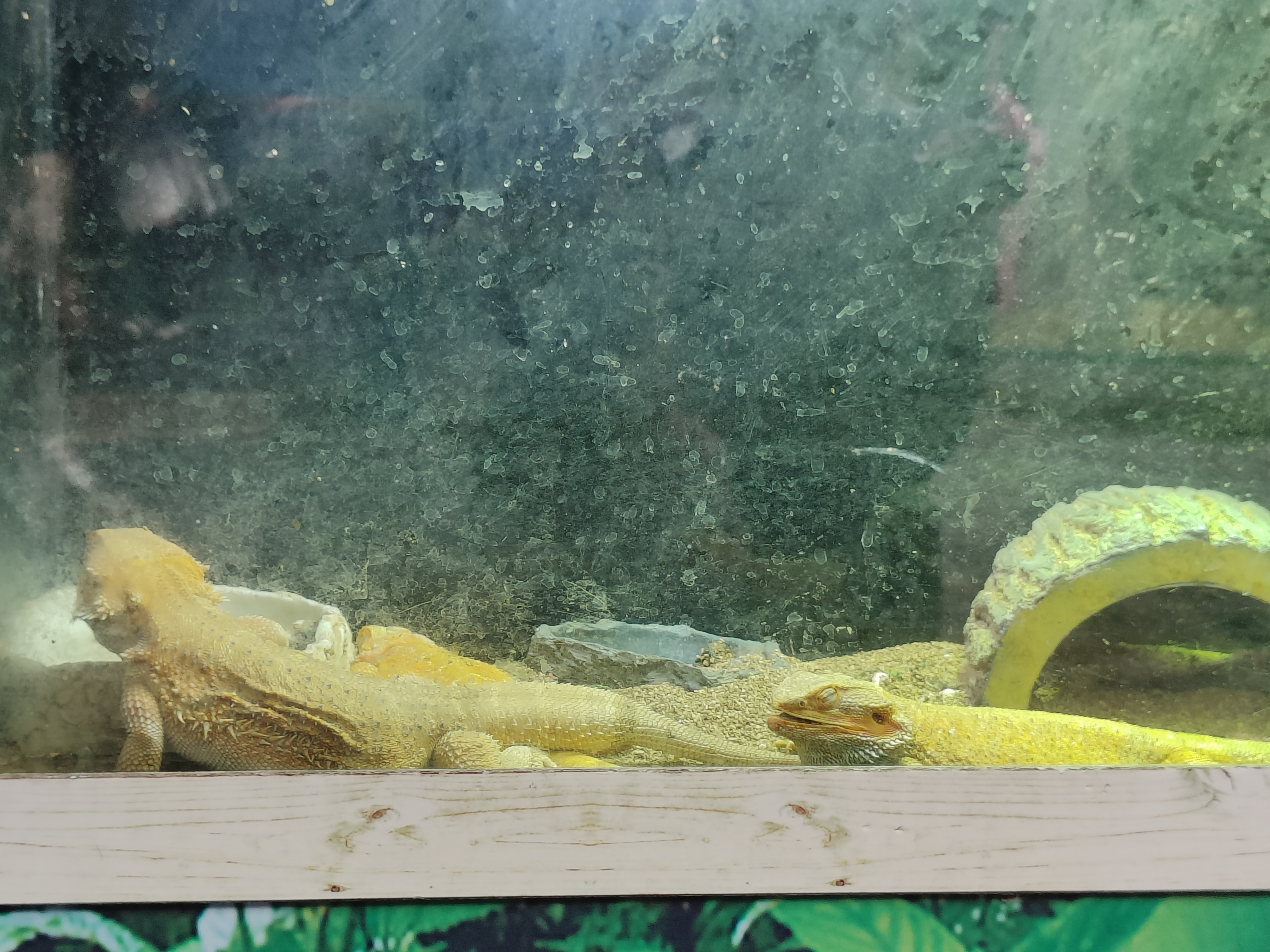 相册照片
