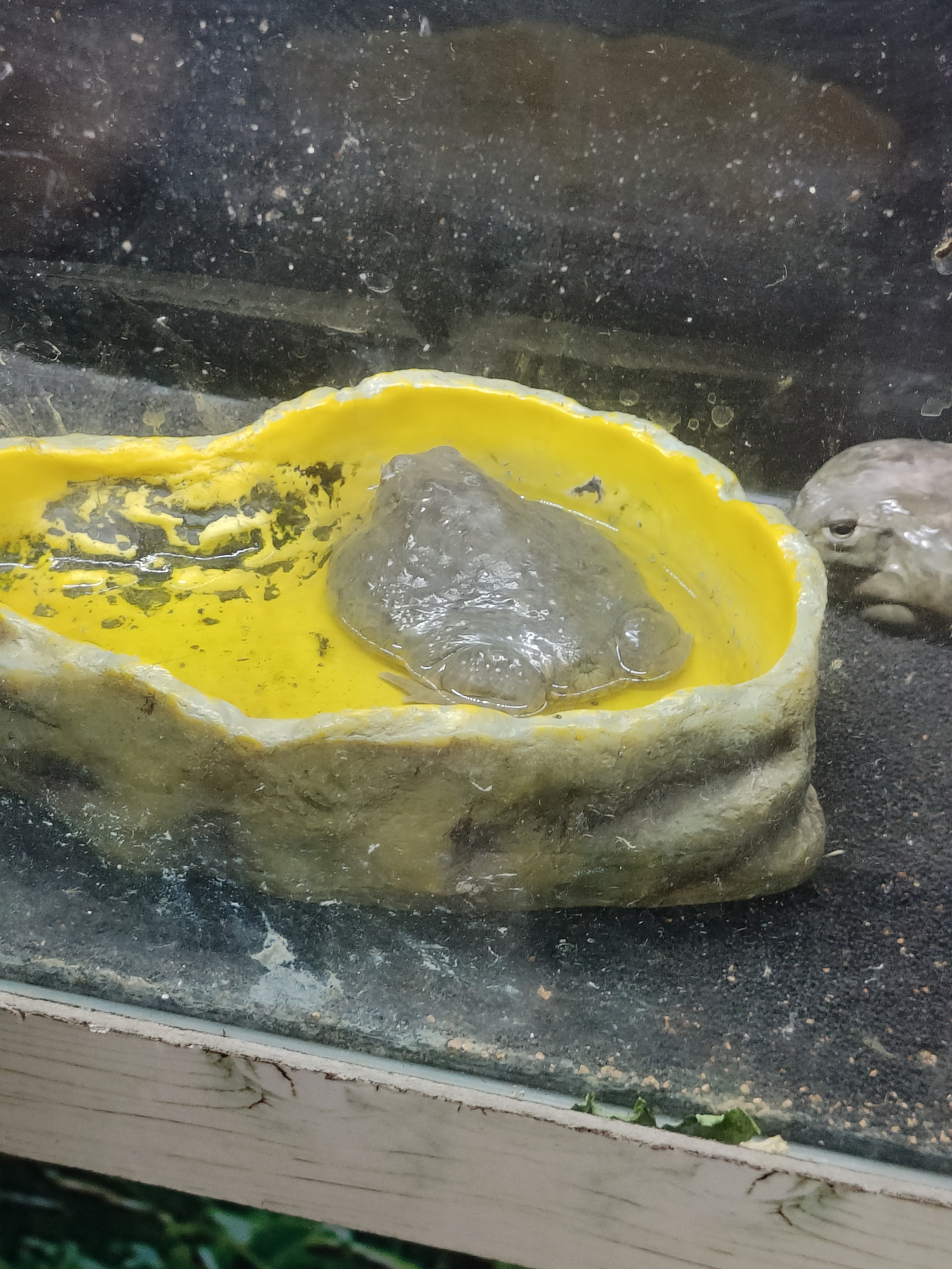 相册照片