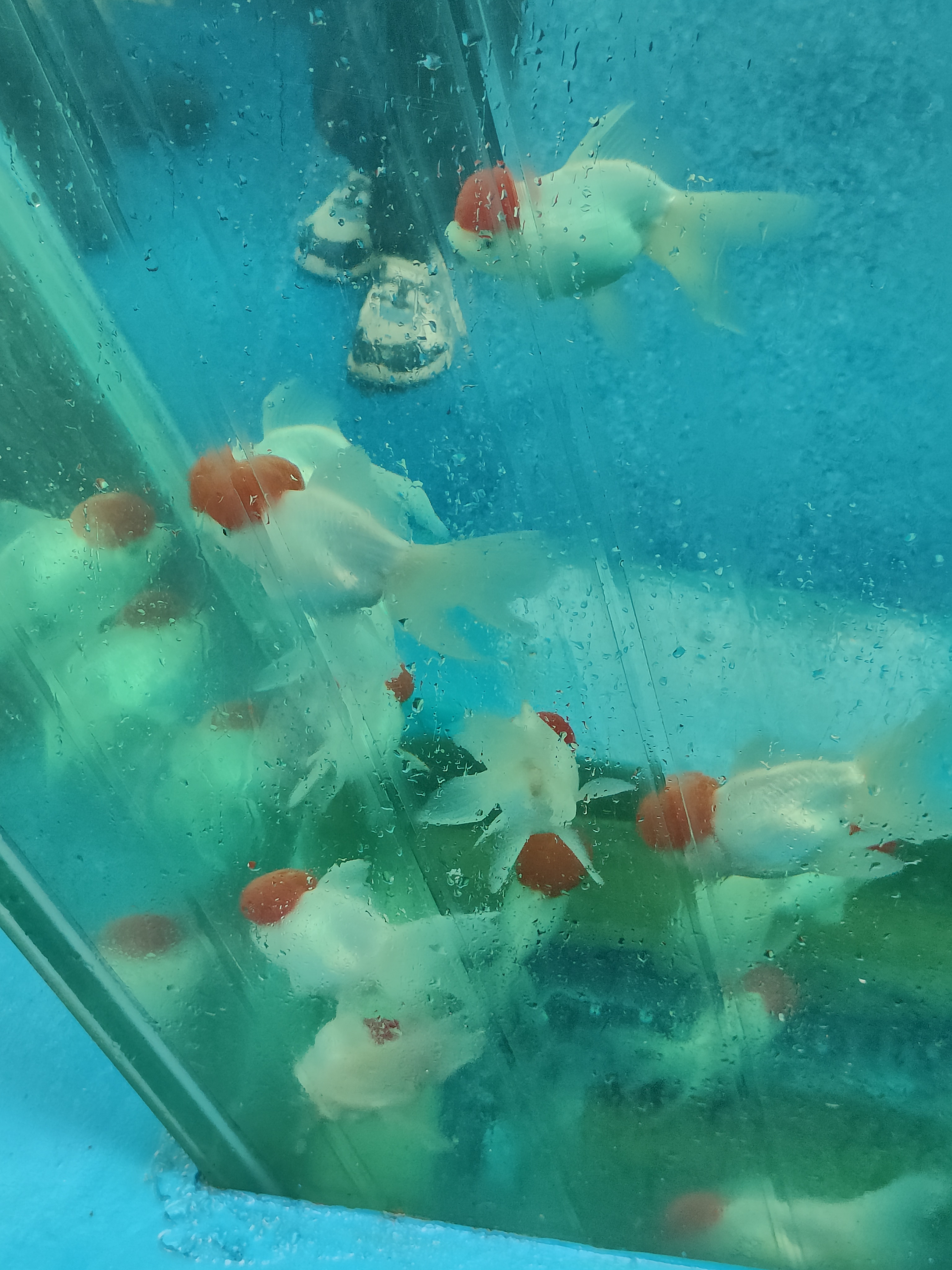 相册照片