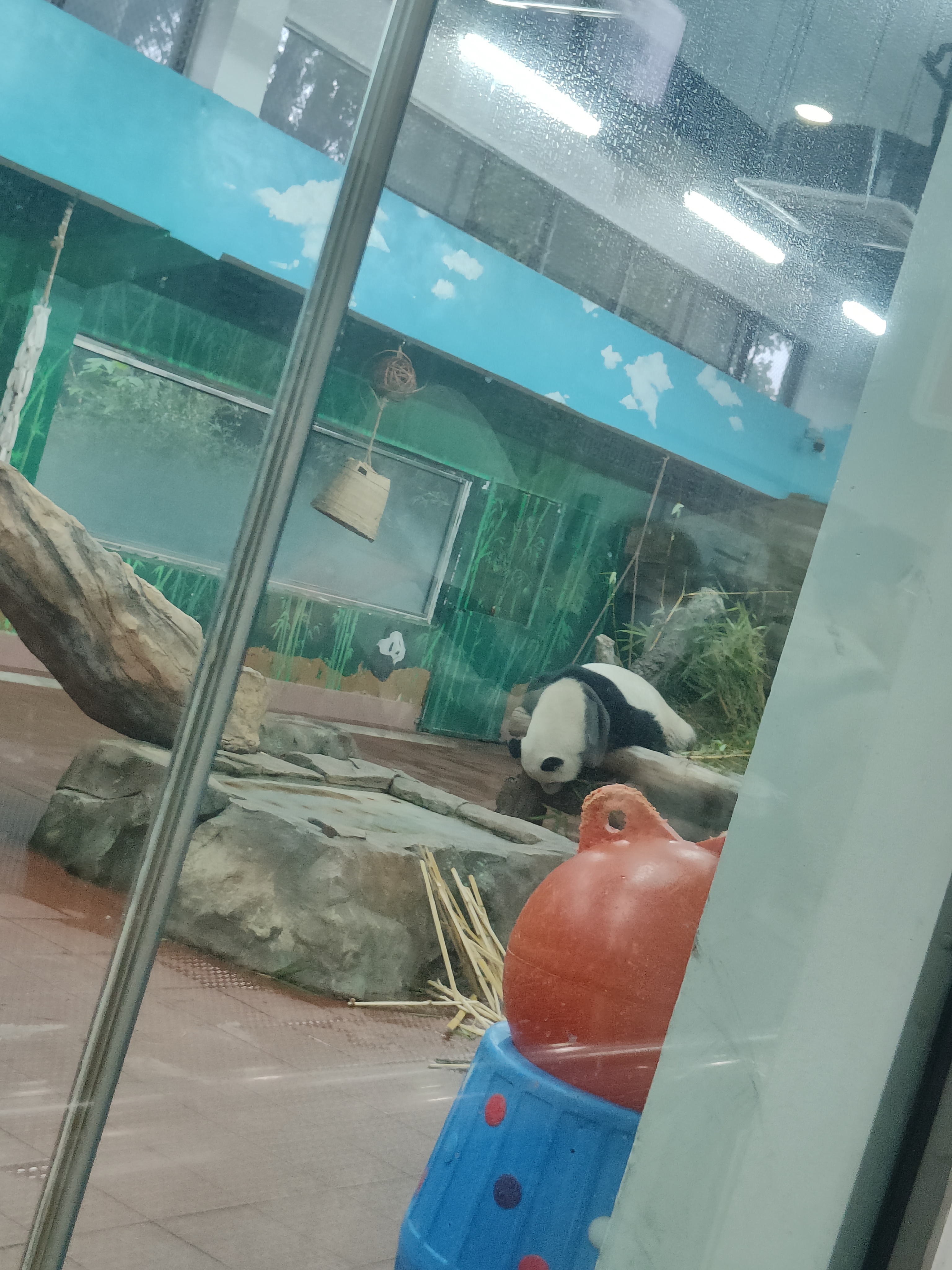 相册照片