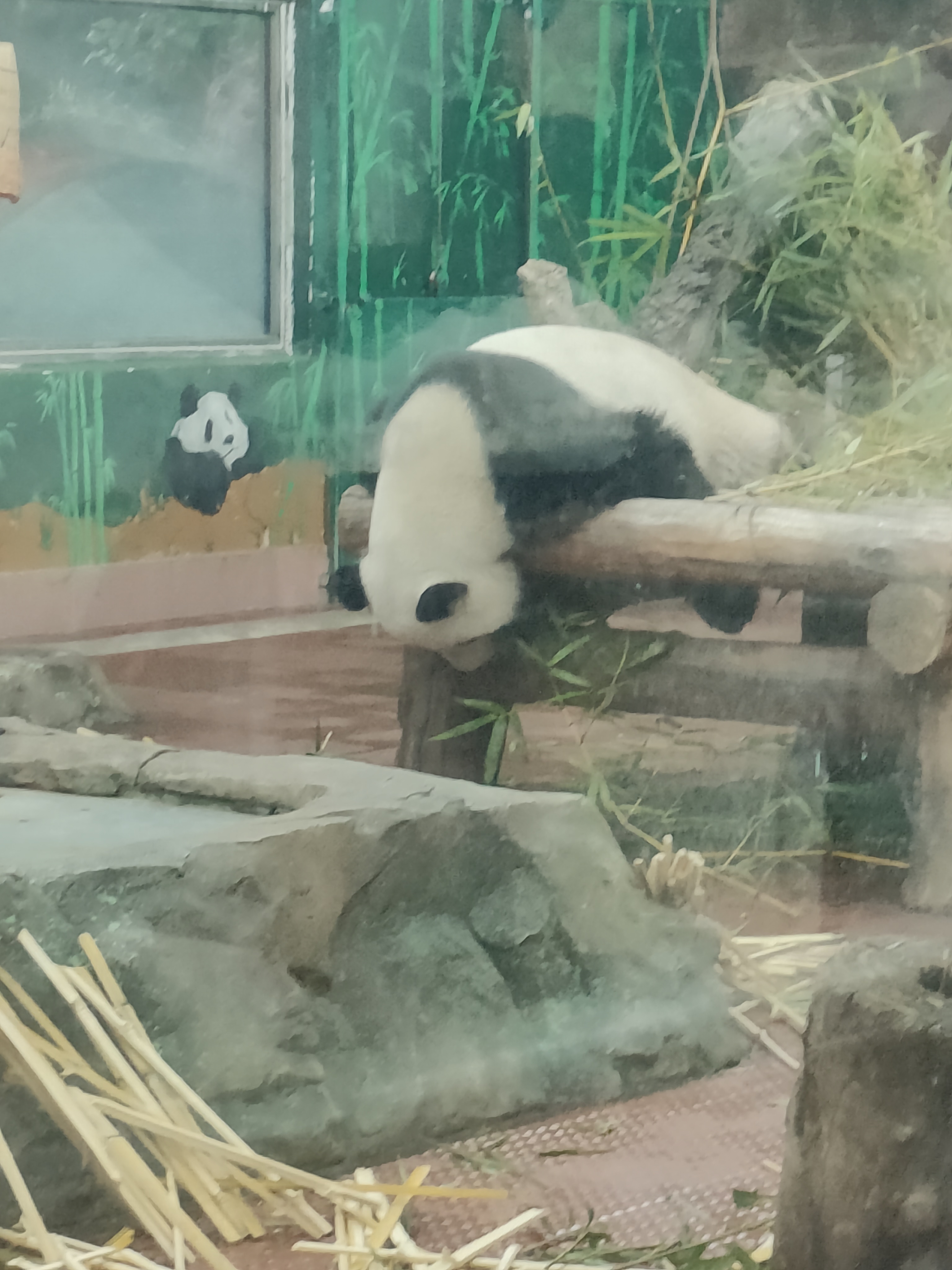 相册照片