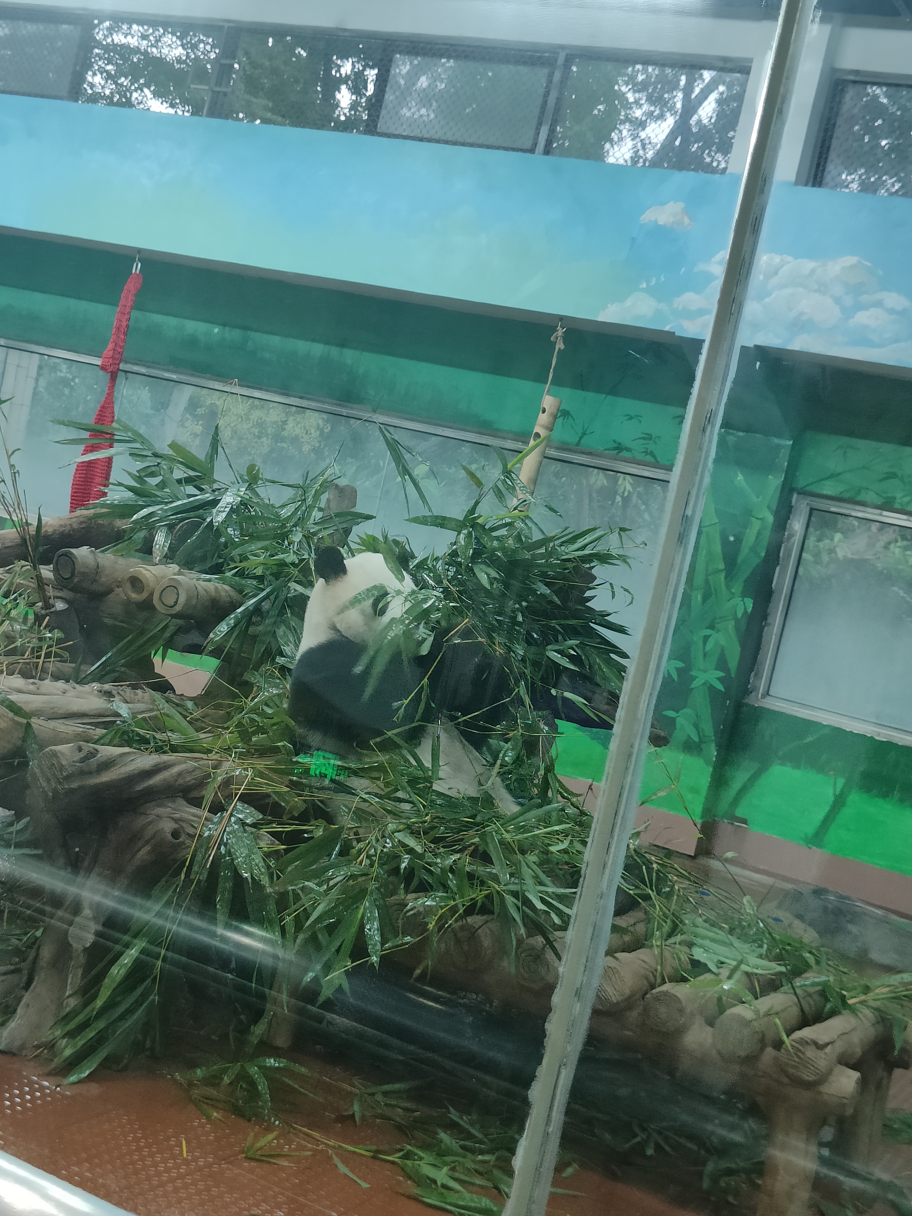 相册照片