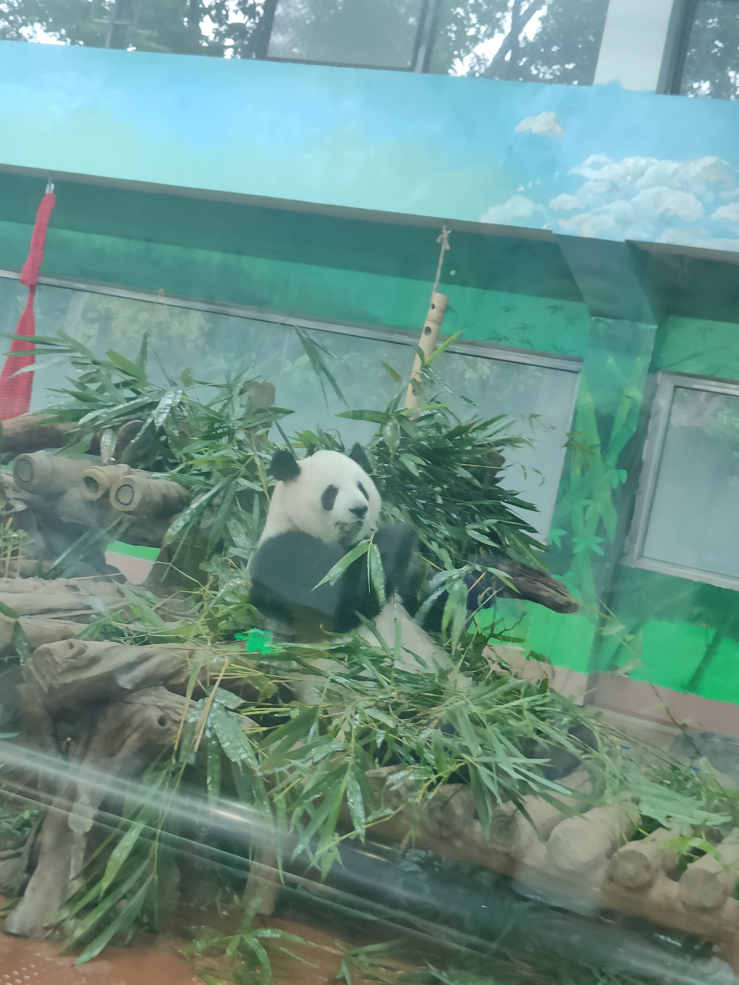 相册照片