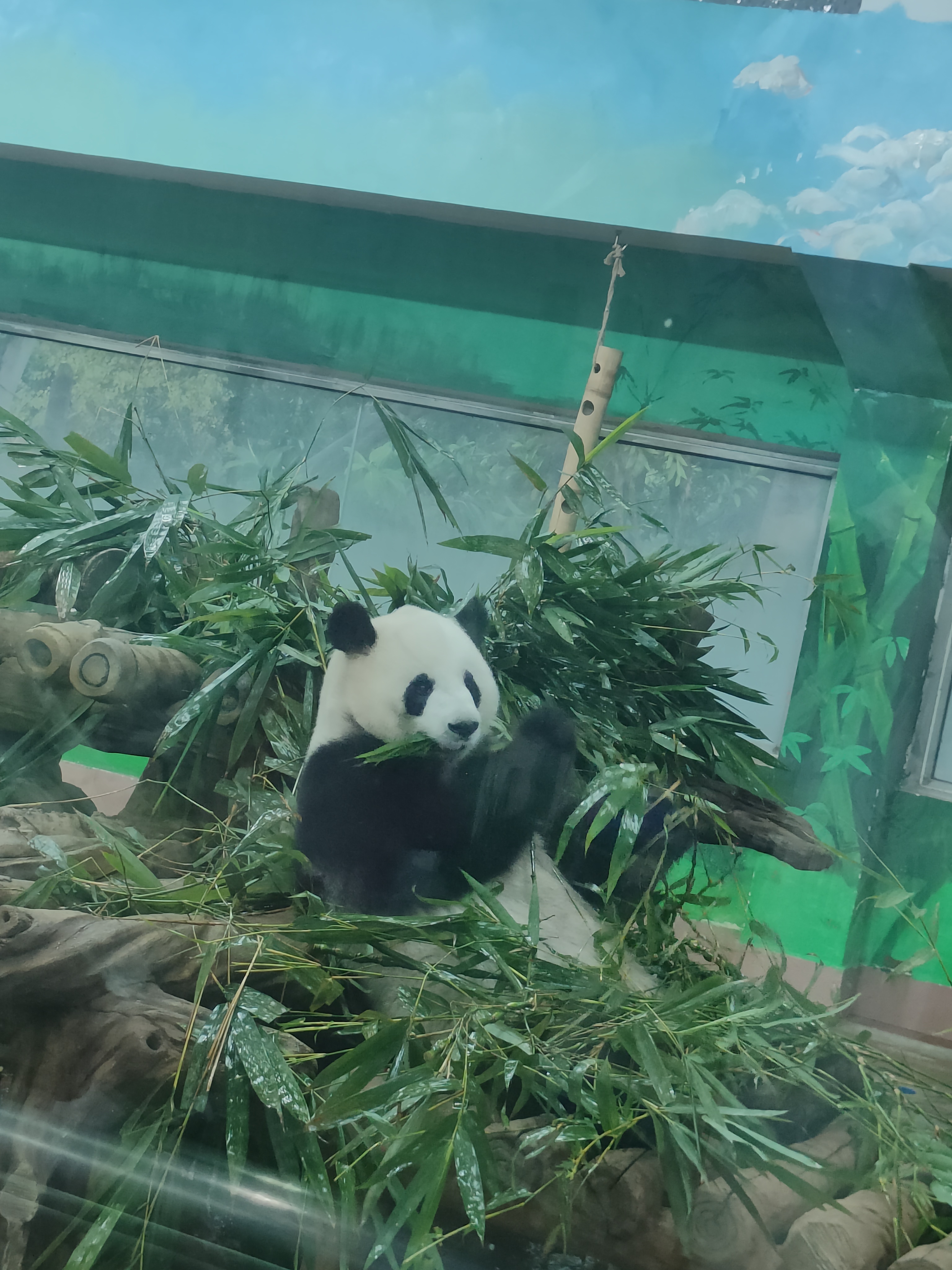 相册照片