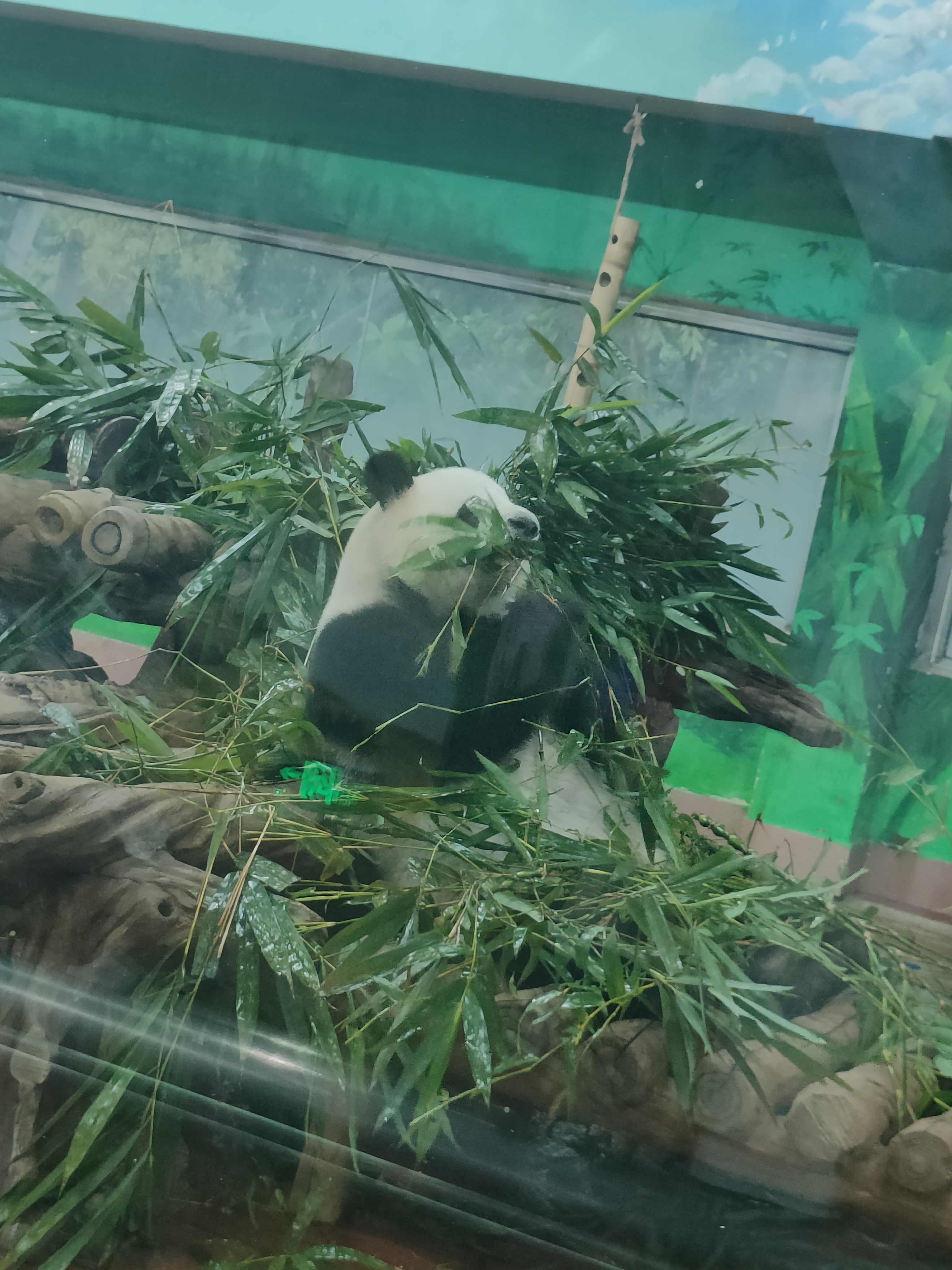 相册照片