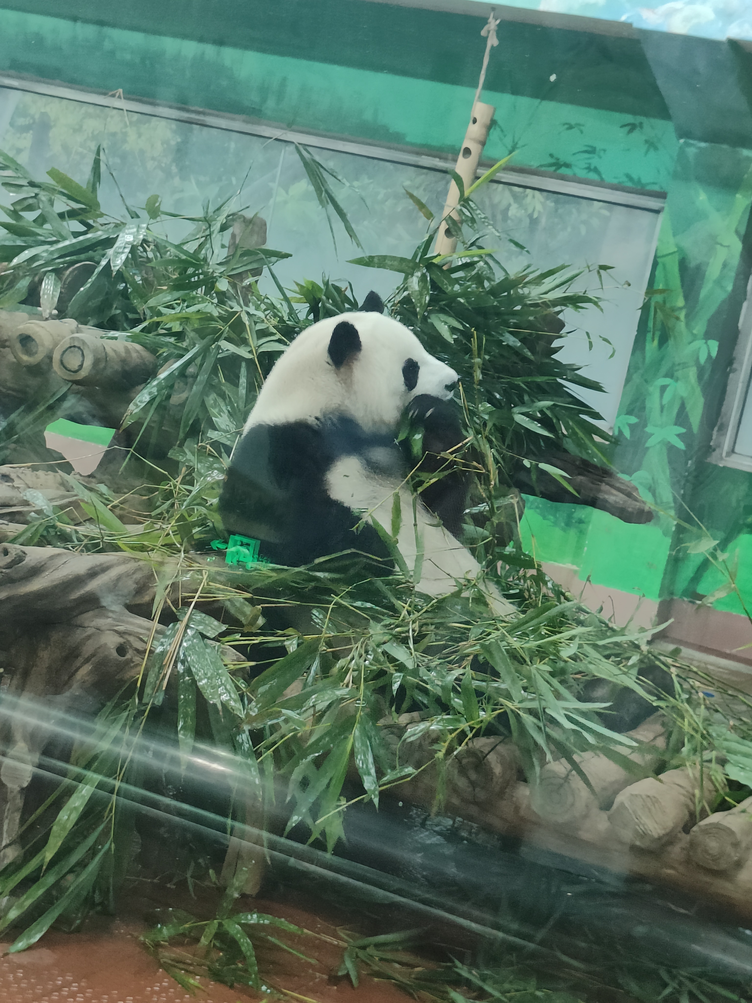 相册照片