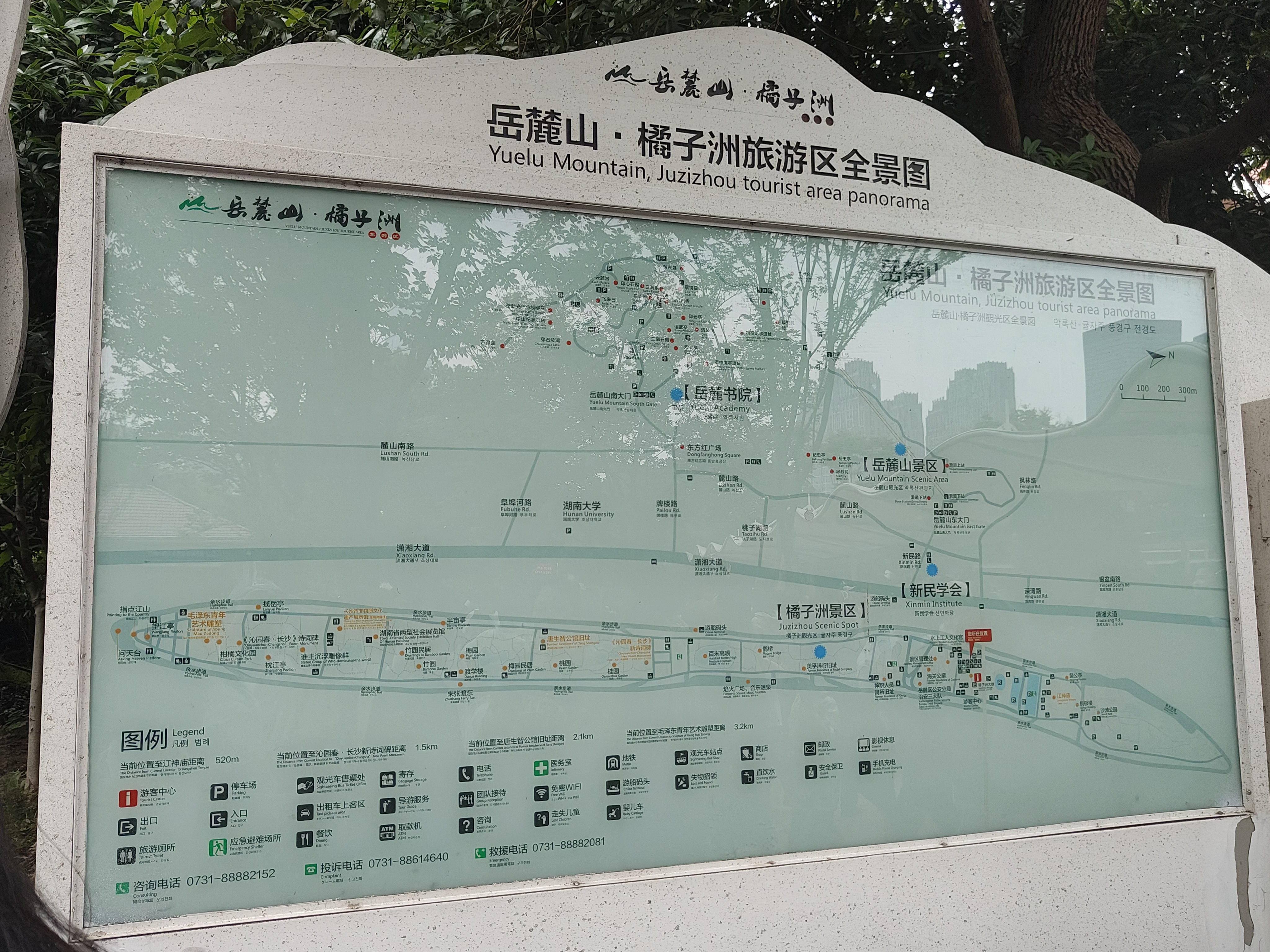 相册照片