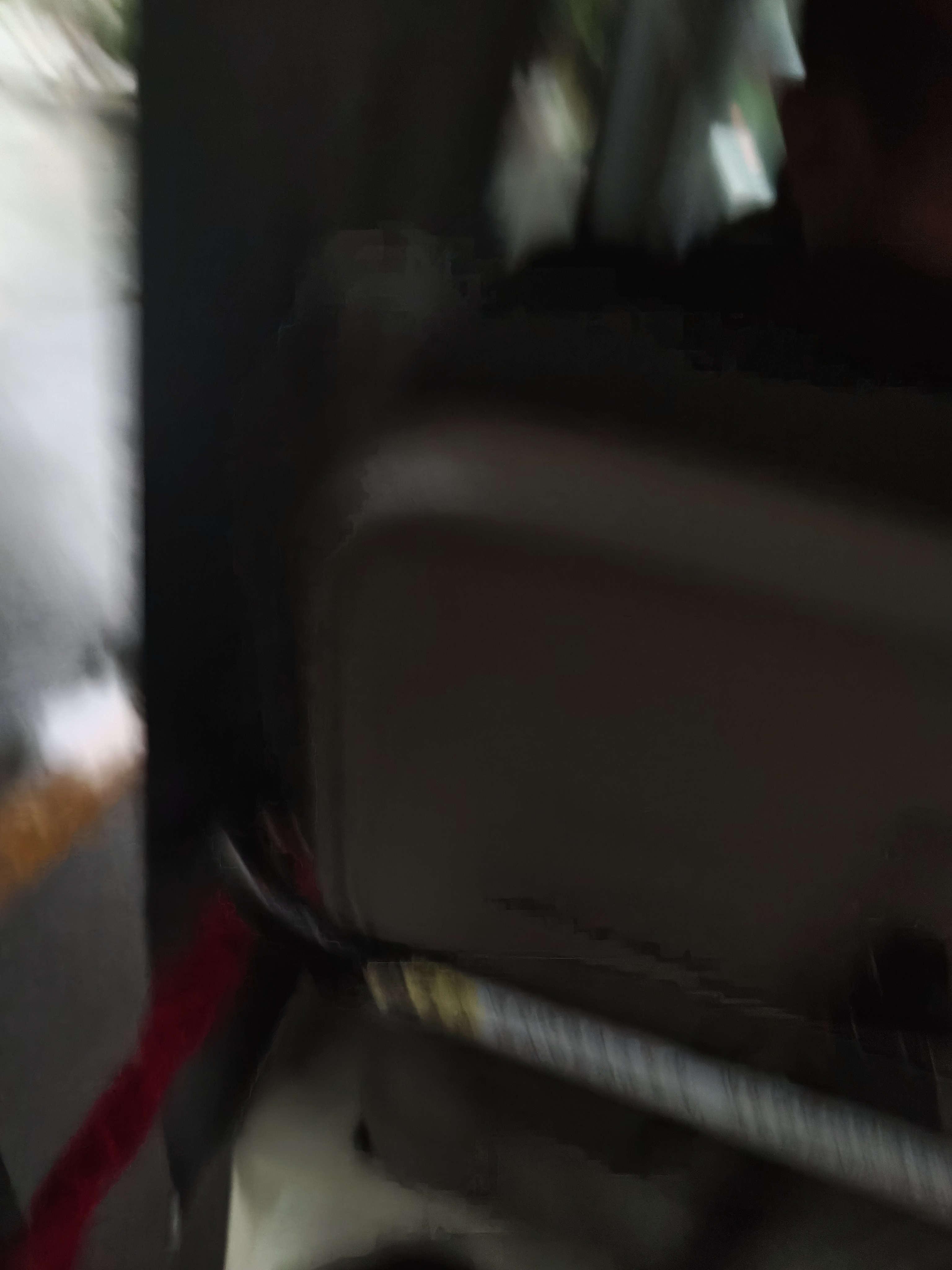 相册照片