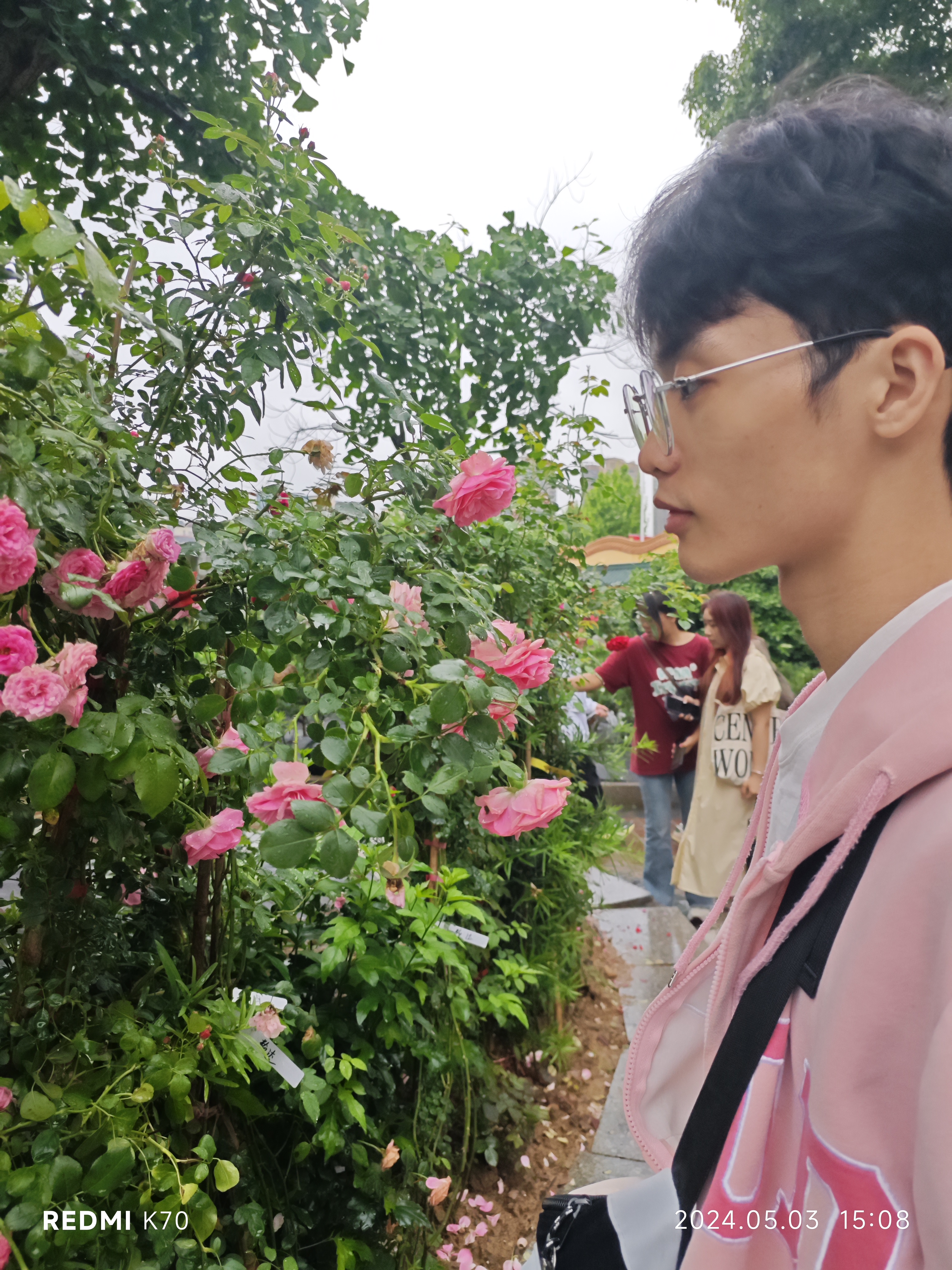 相册照片