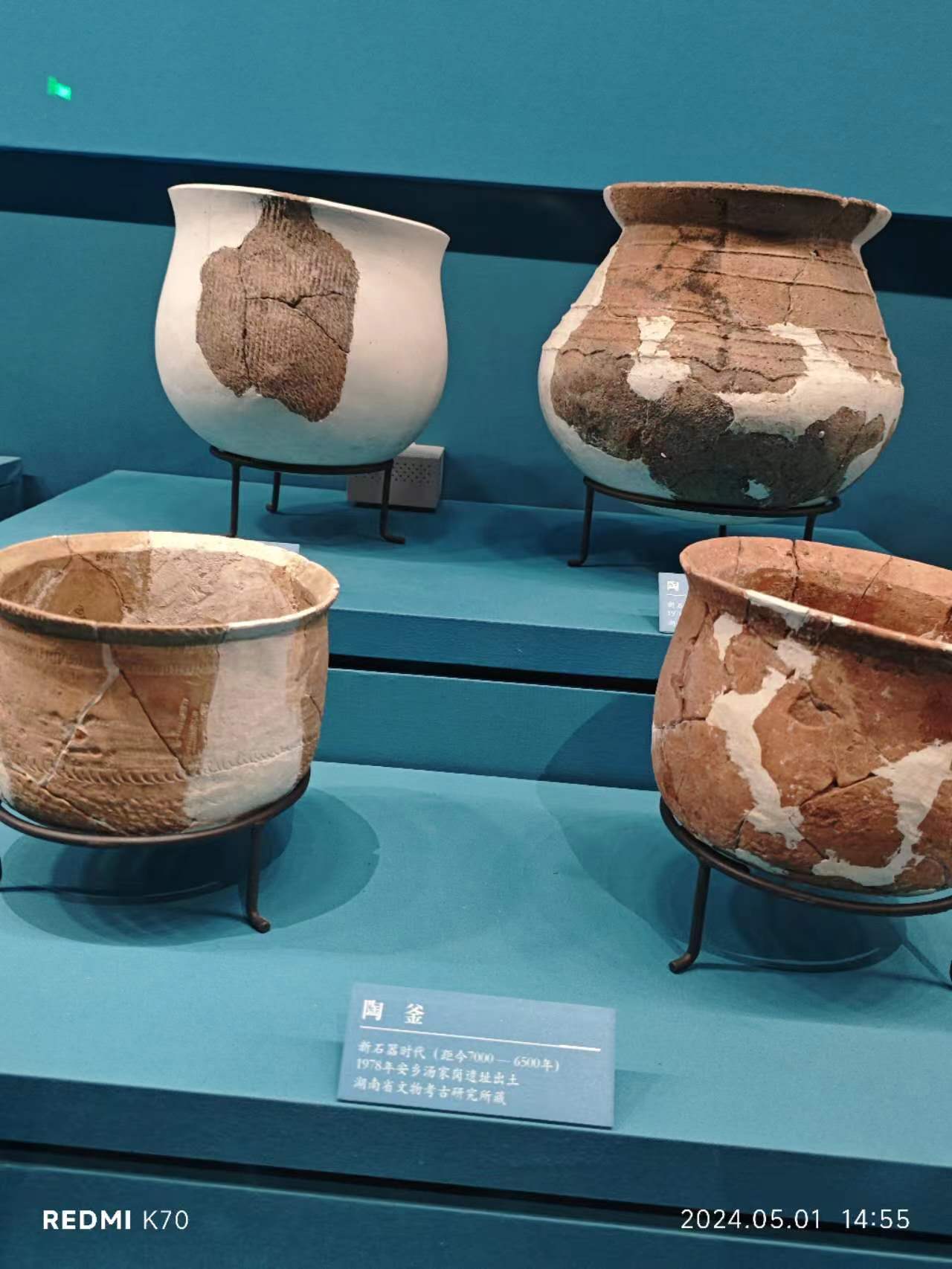 相册照片