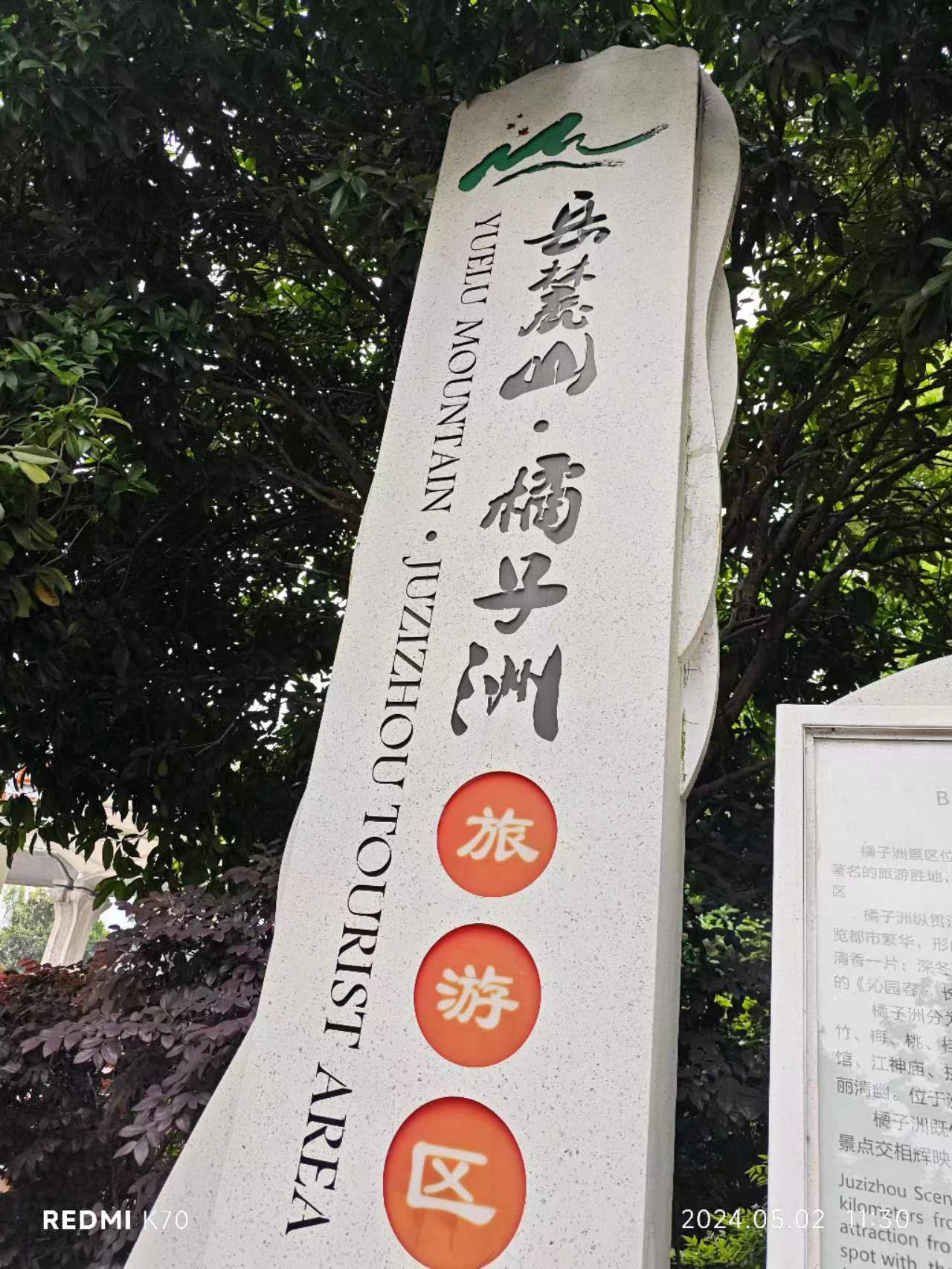 相册照片