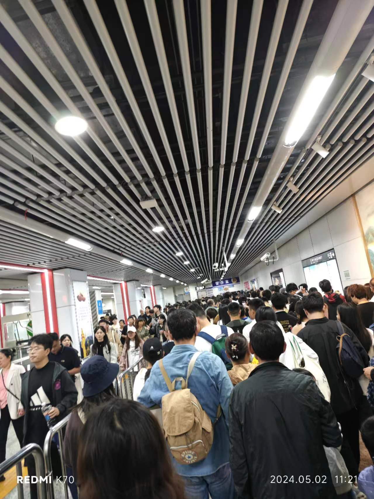 相册照片