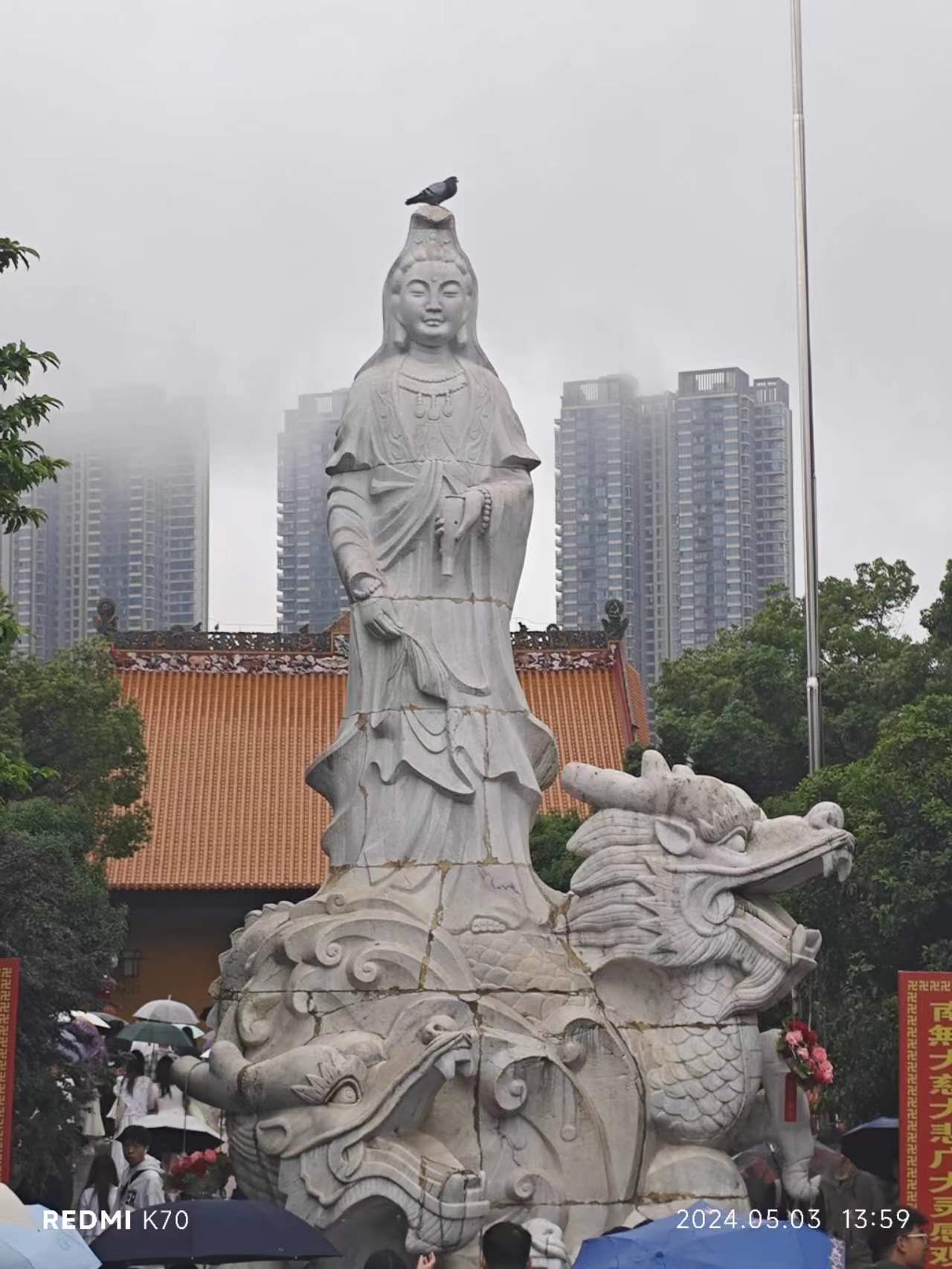 相册照片