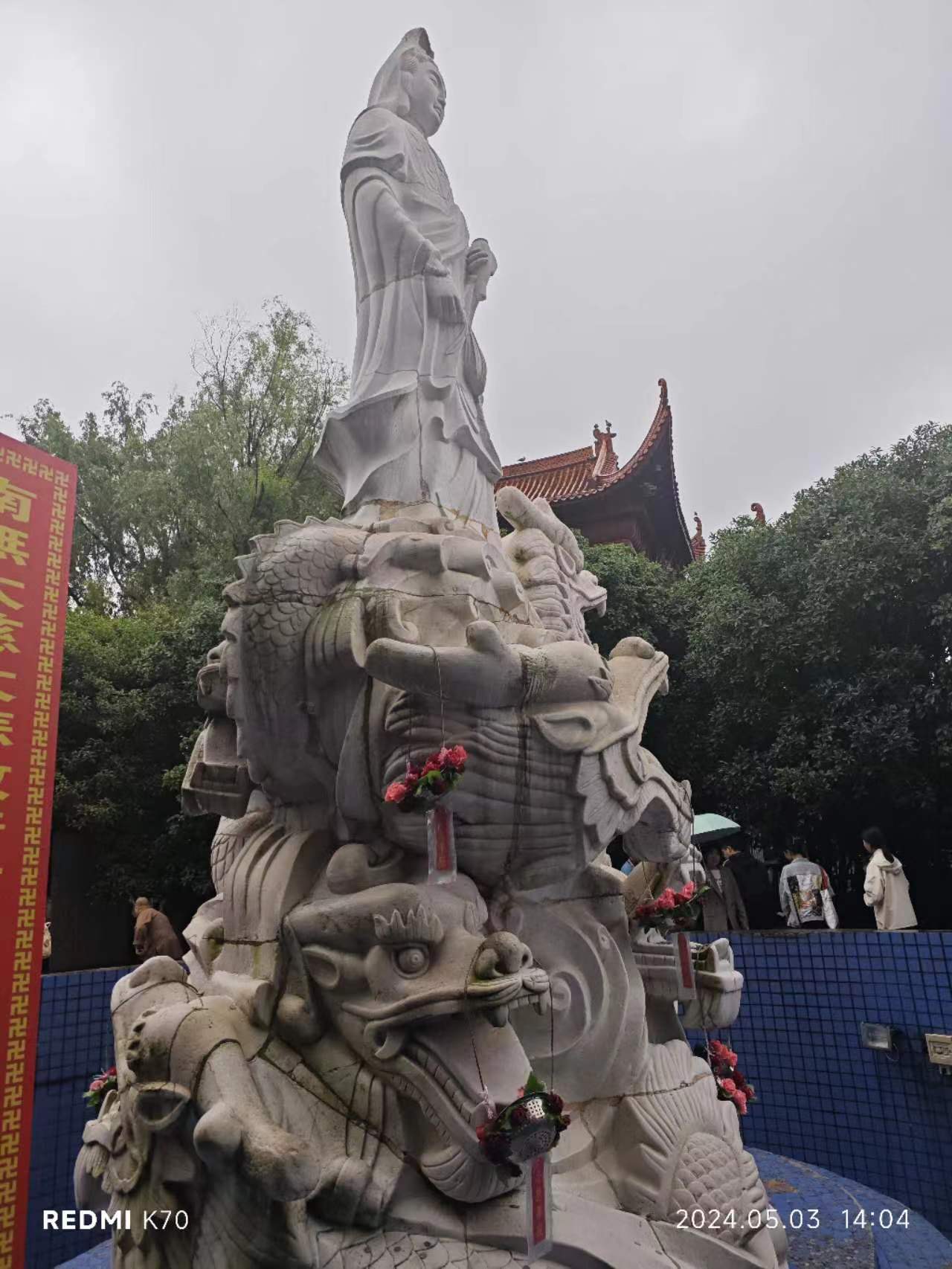 相册照片