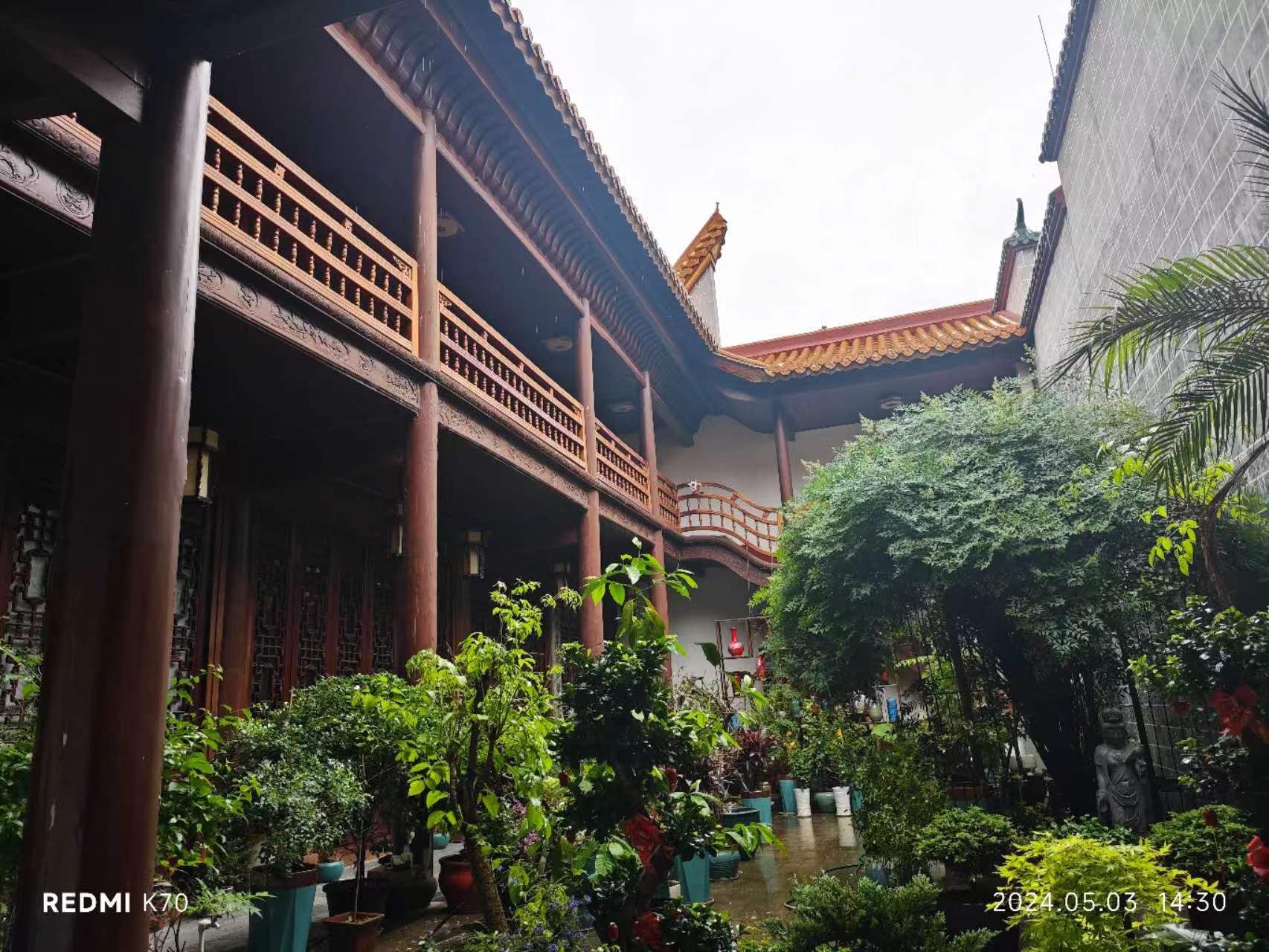 相册照片