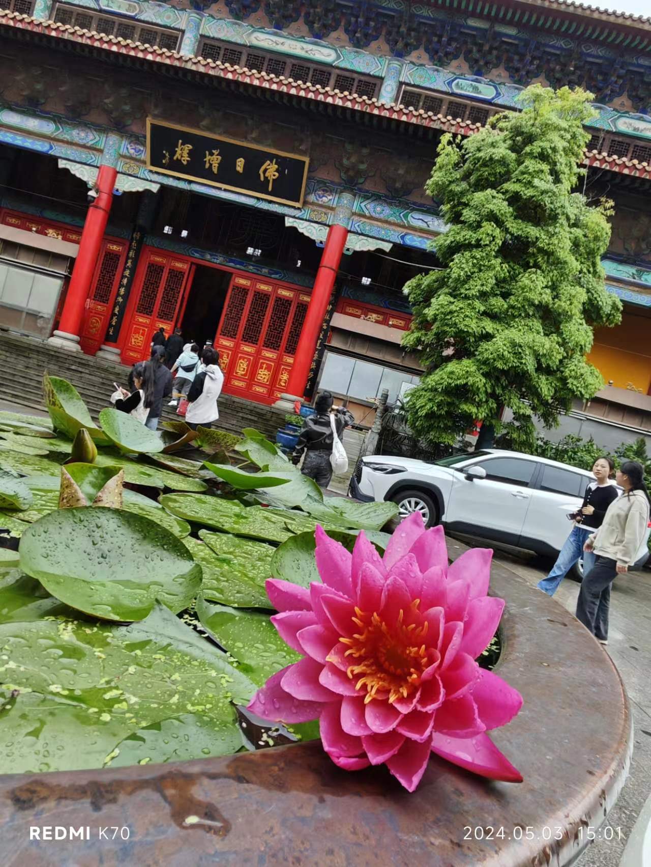 相册照片