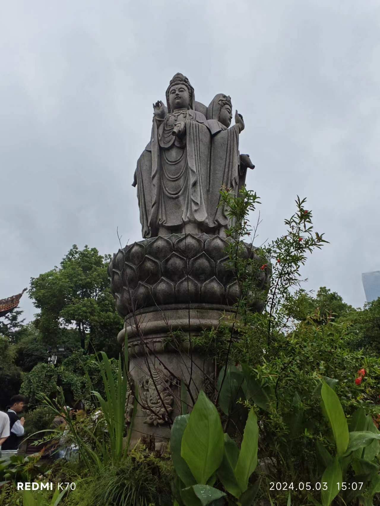 相册照片