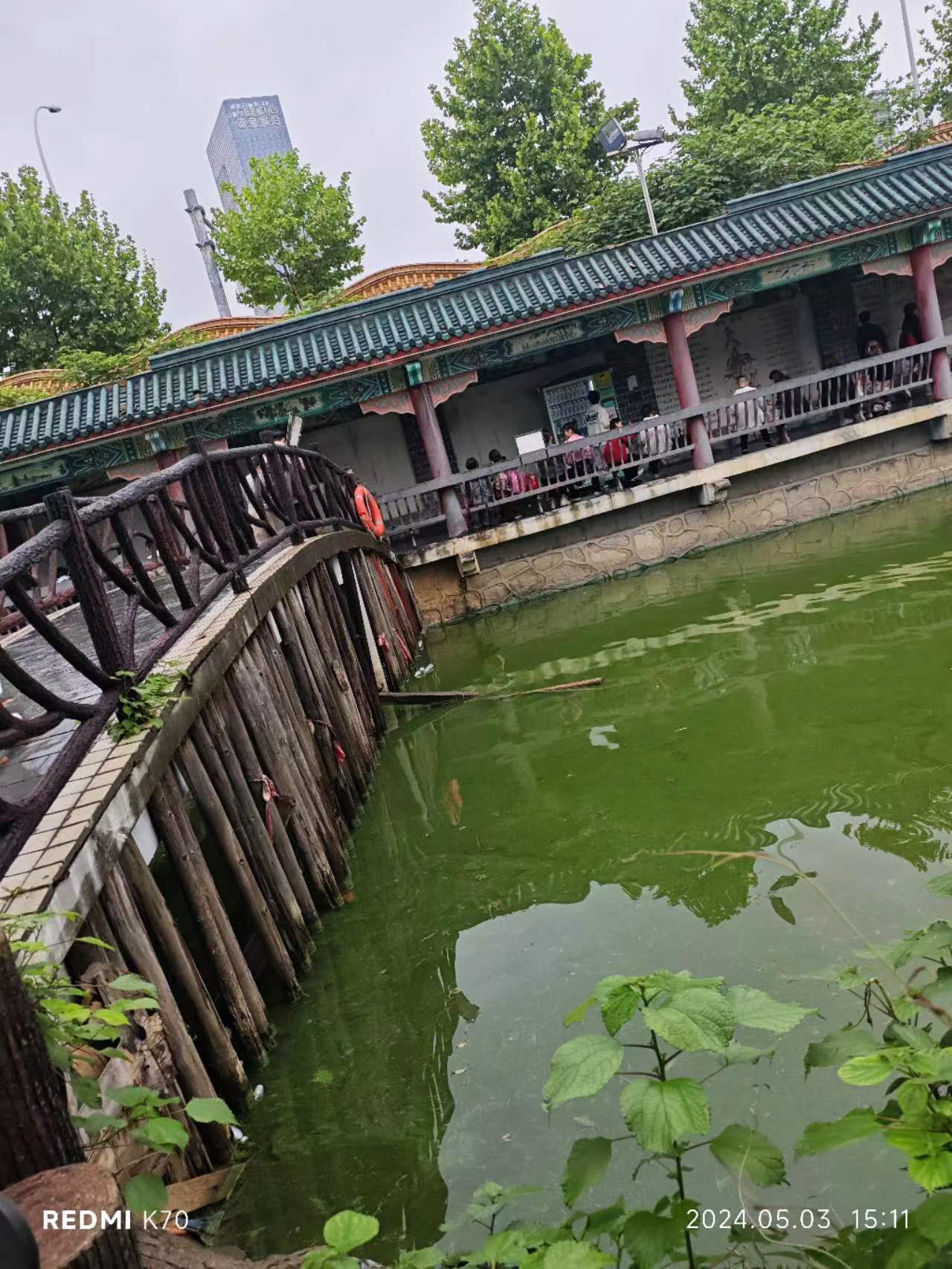 相册照片