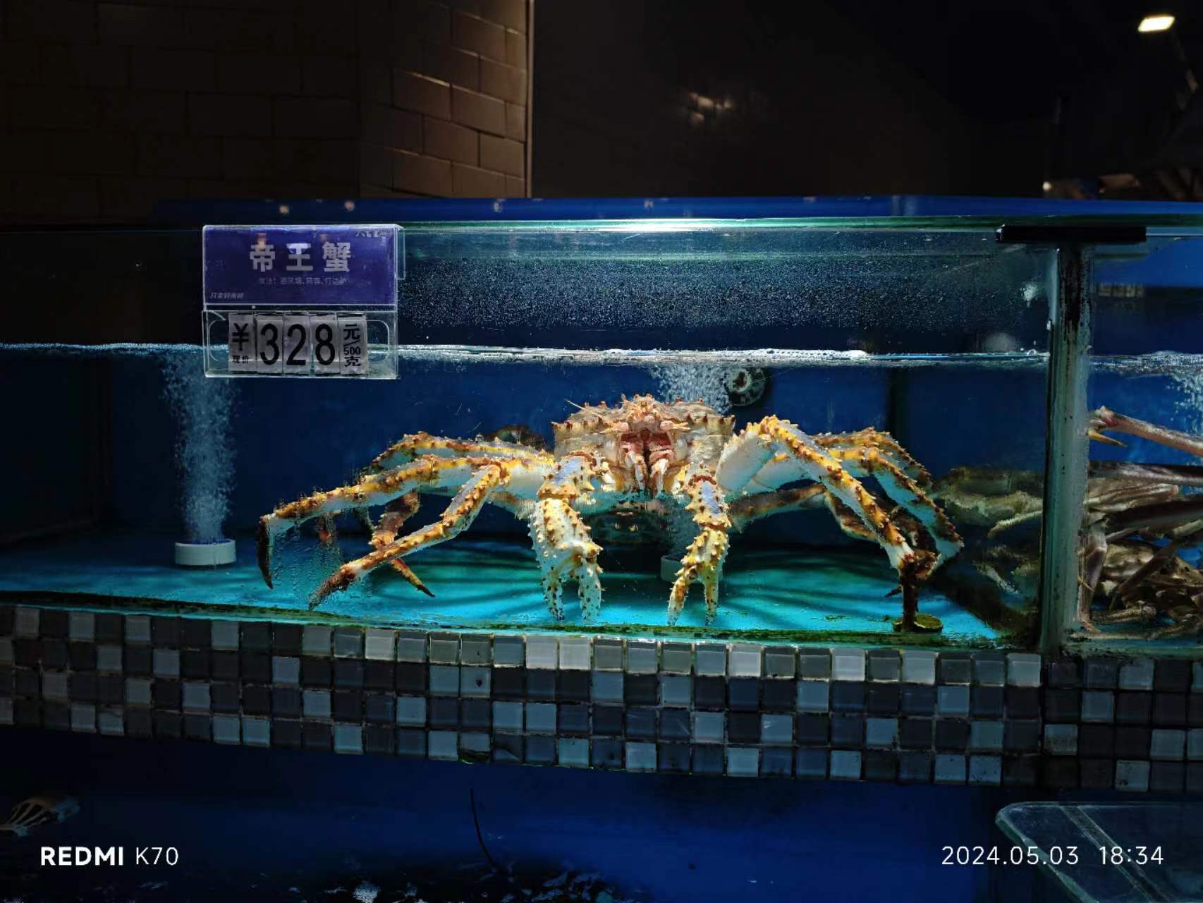 相册照片